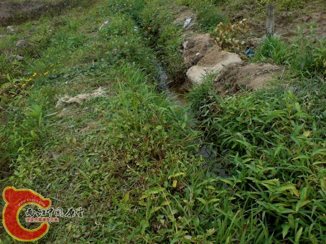 DSC00130.JPG