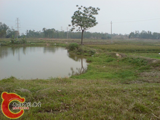 DSC00180.JPG