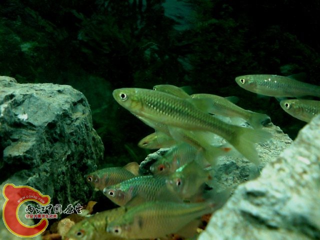 DSC00189.JPG