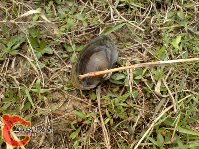 DSC00212.JPG
