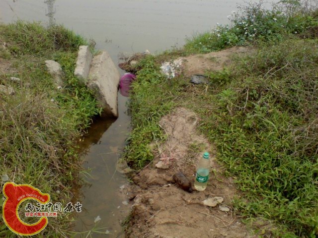 DSC00214.JPG