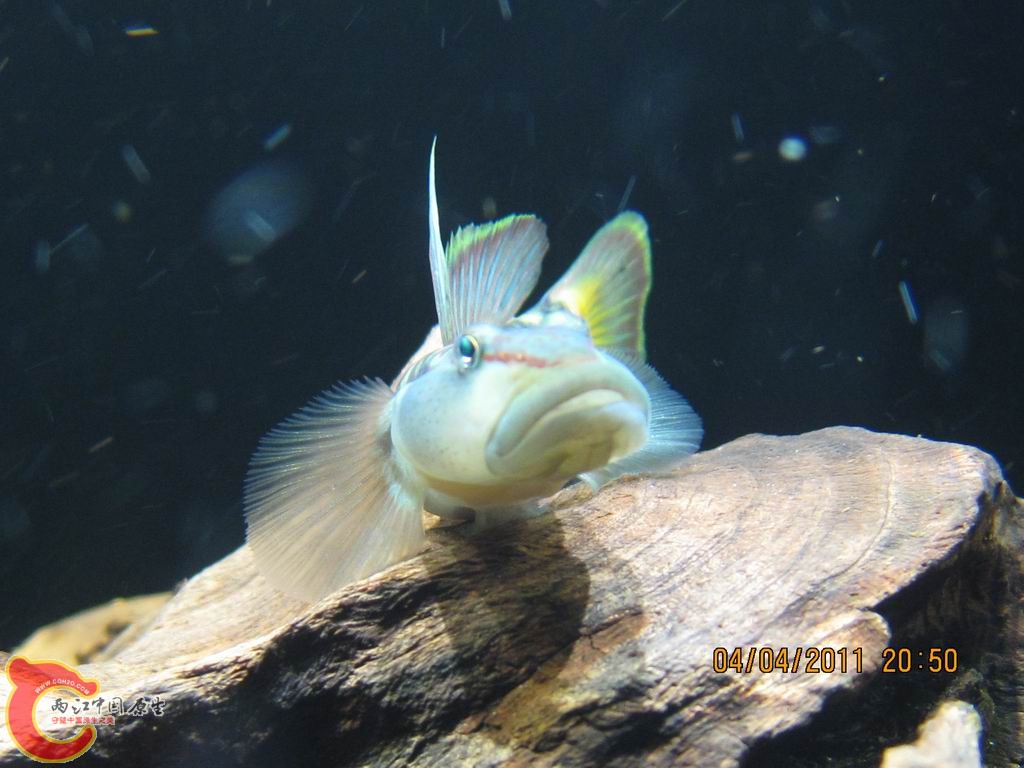 调整大小 IMG_2356.JPG