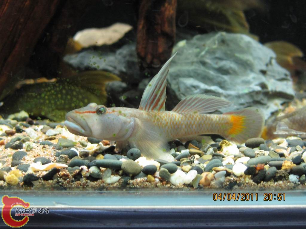 调整大小 IMG_2357.JPG