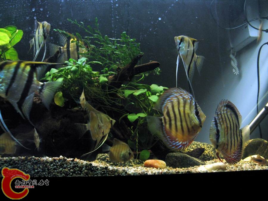 照片 022.jpg