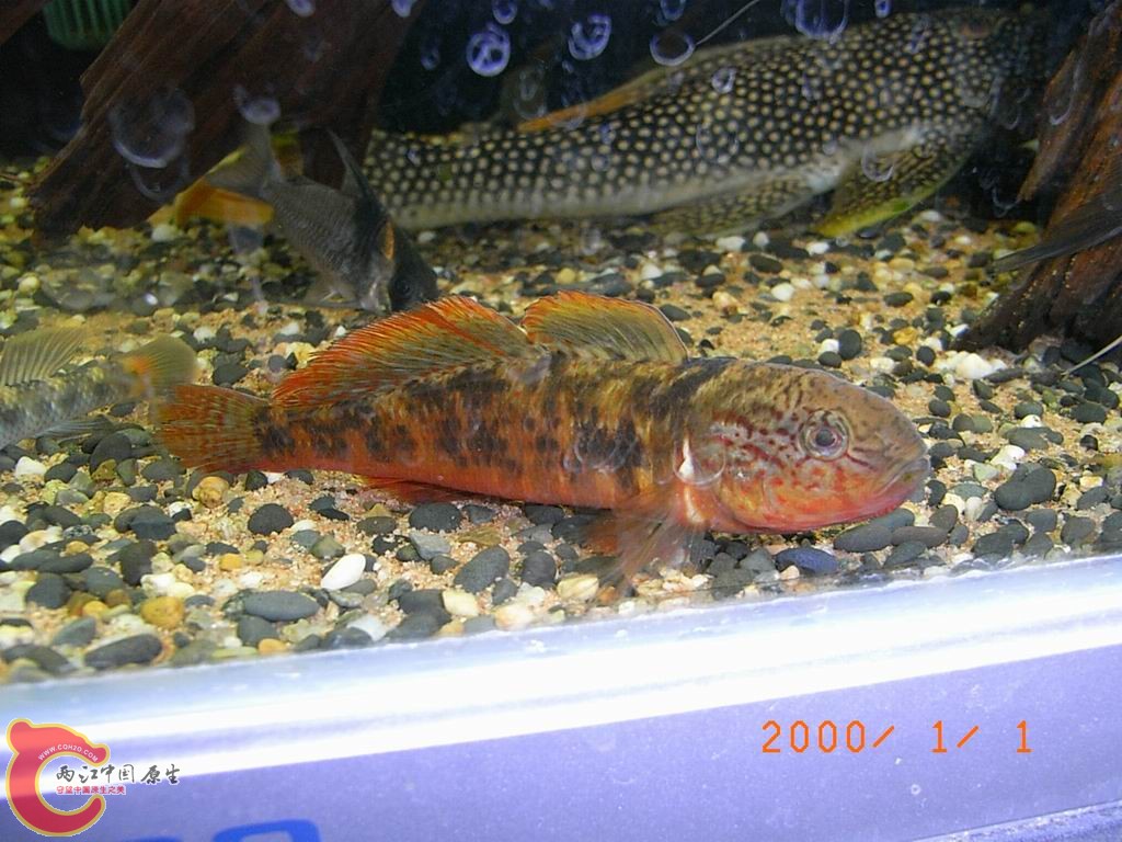 调整大小 RIMG0004.JPG