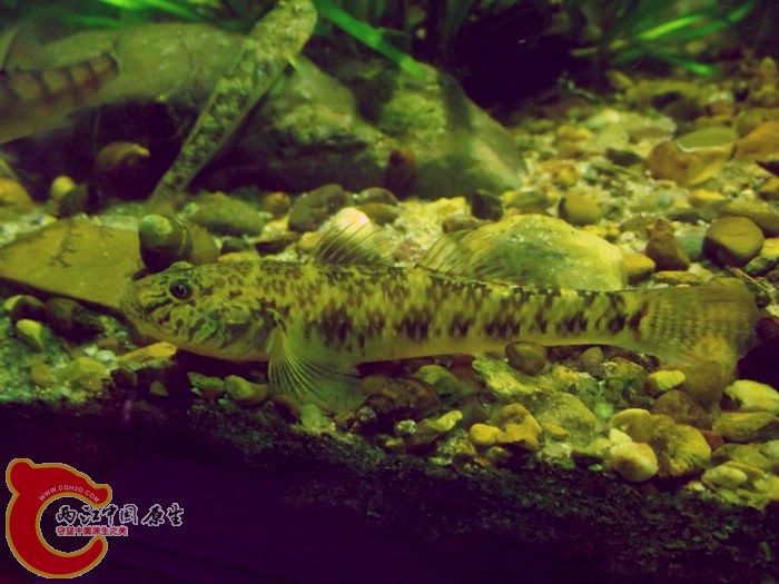 DSCF3615.jpg