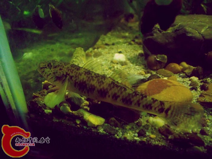 DSCF3616.jpg