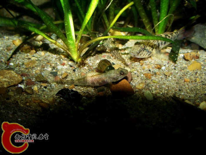 DSCF3448.jpg