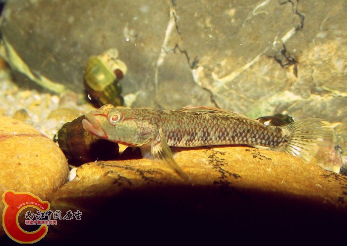 DSCF3540.jpg