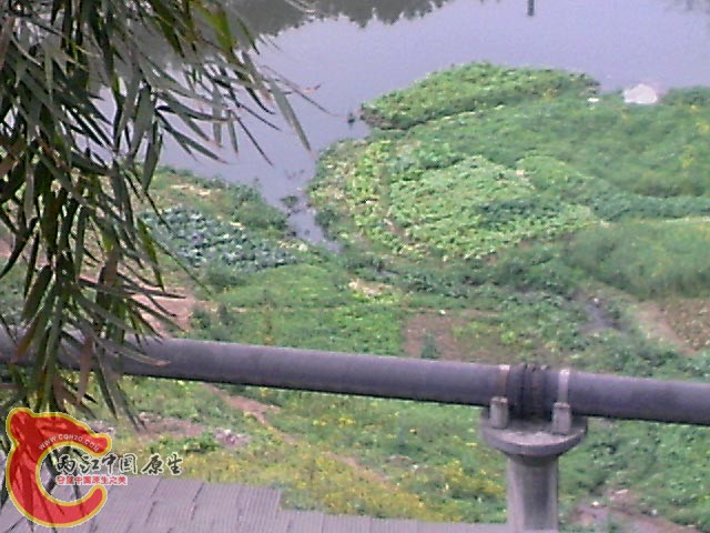 小河沟没下去了