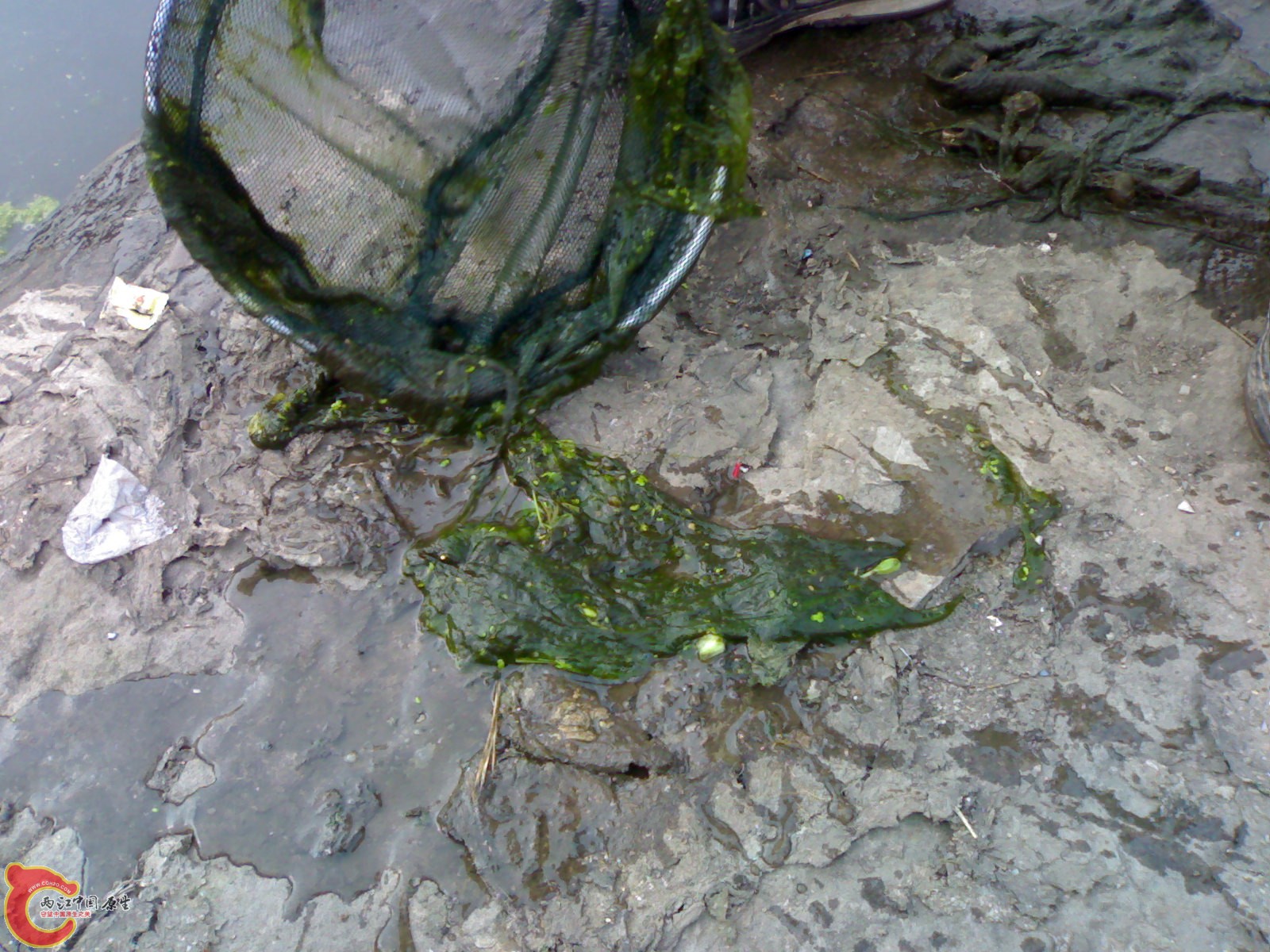 201104091552.jpg
