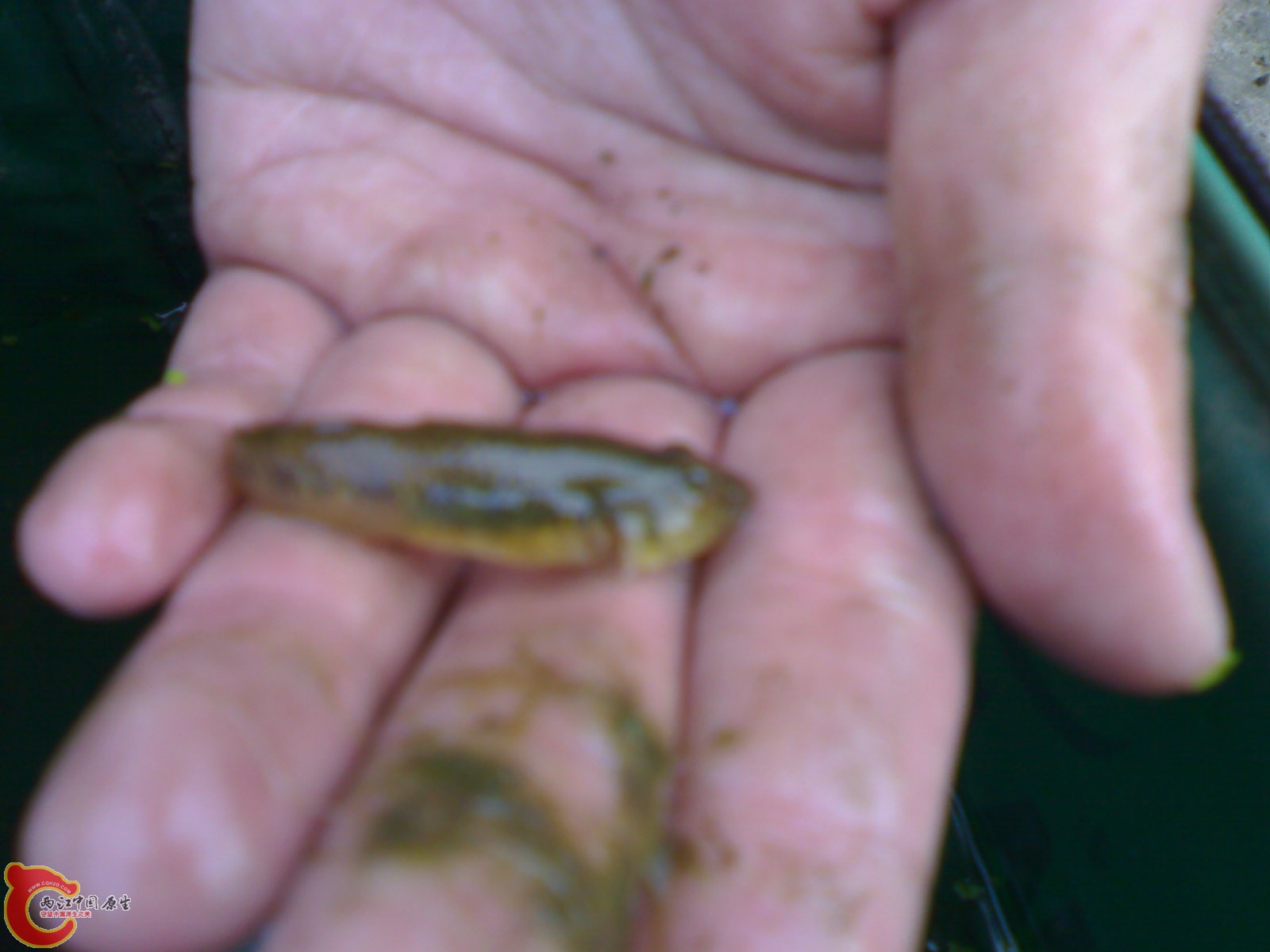201104091556.jpg