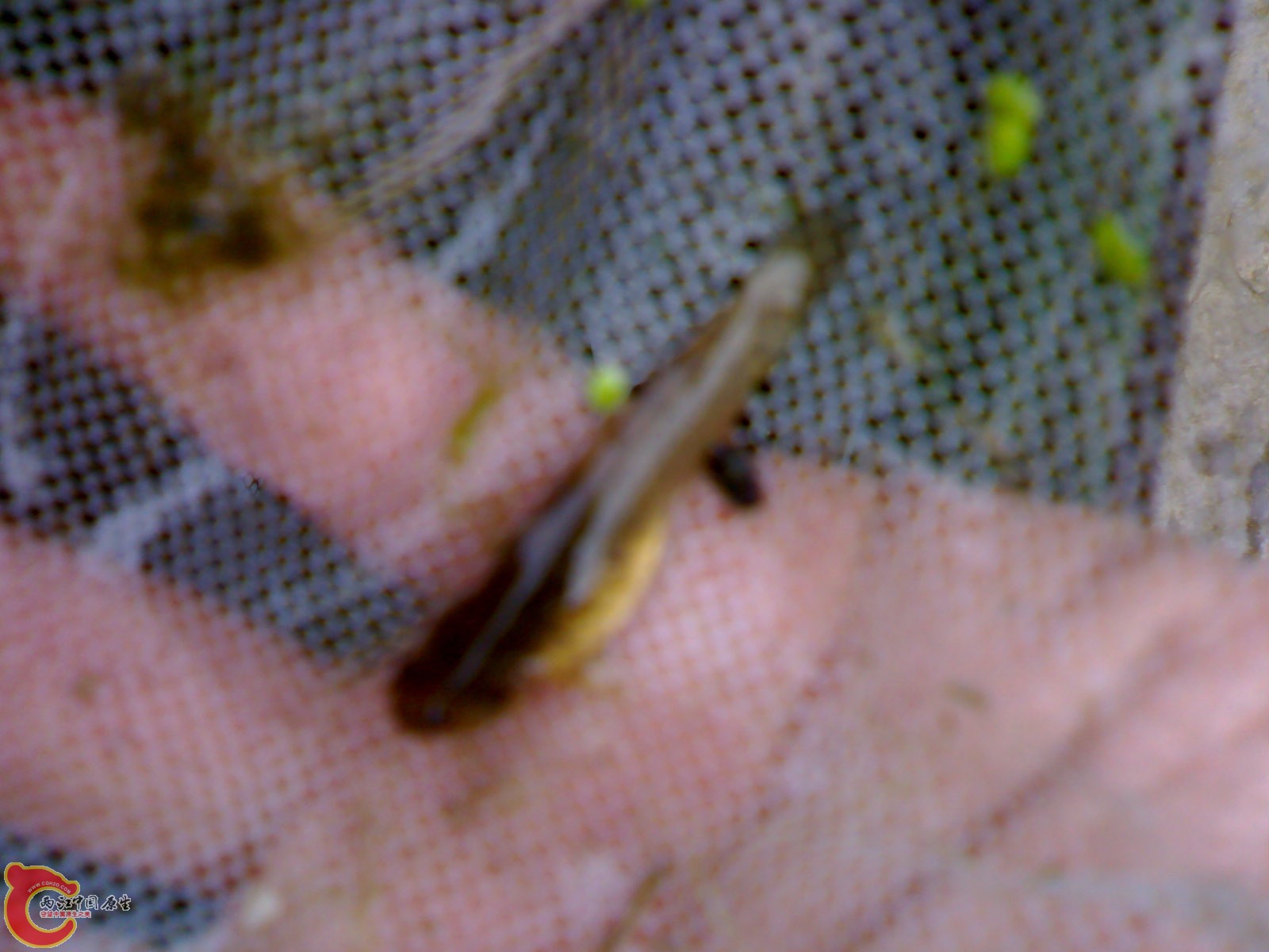 201104091557.jpg