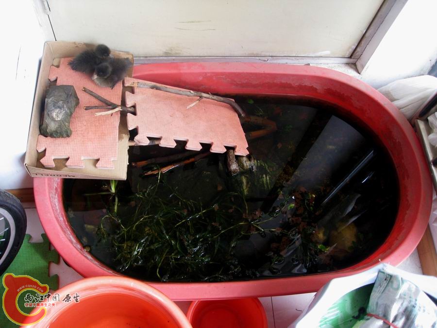 照片 257.jpg