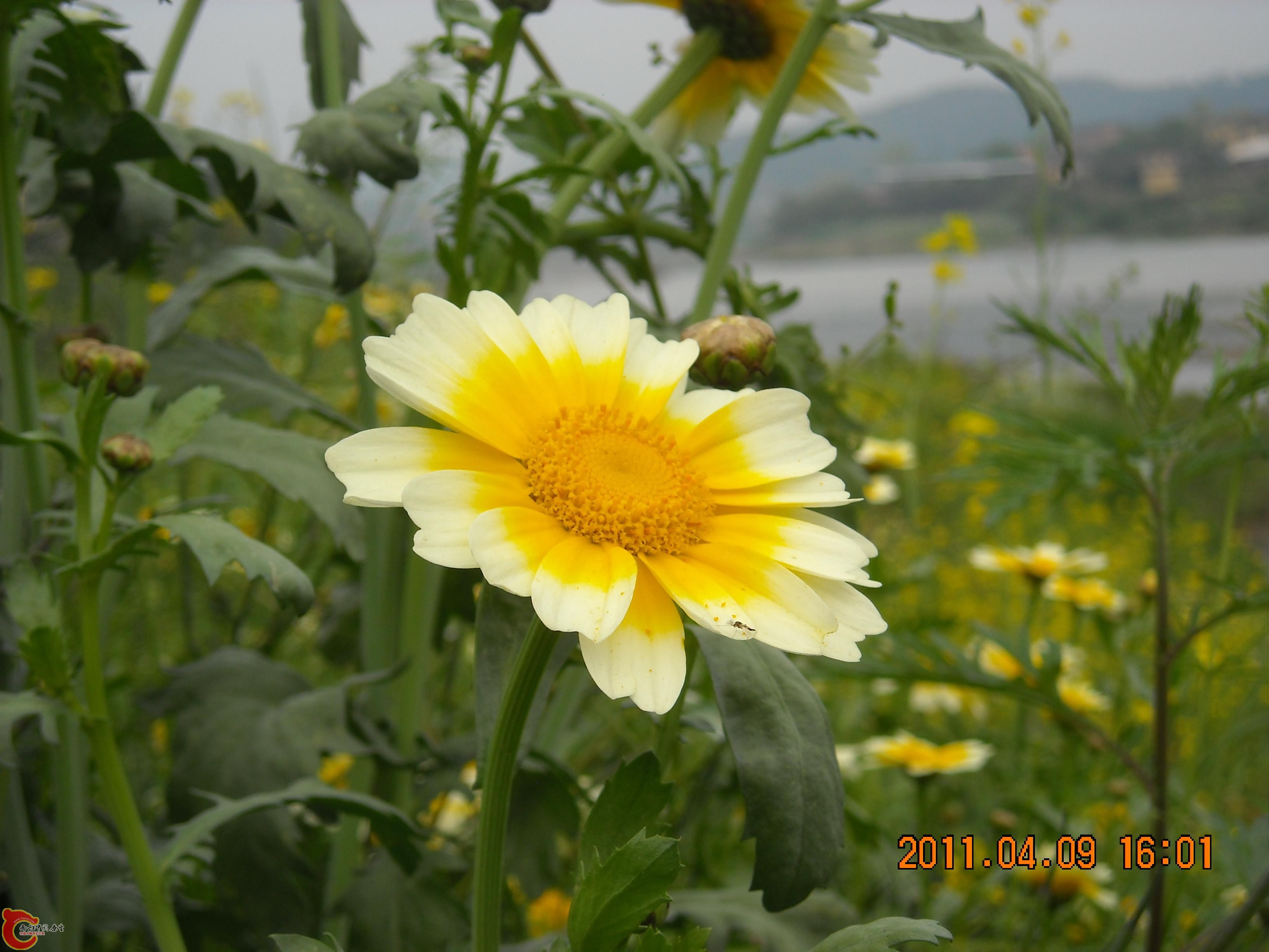 DSCN4854.JPG