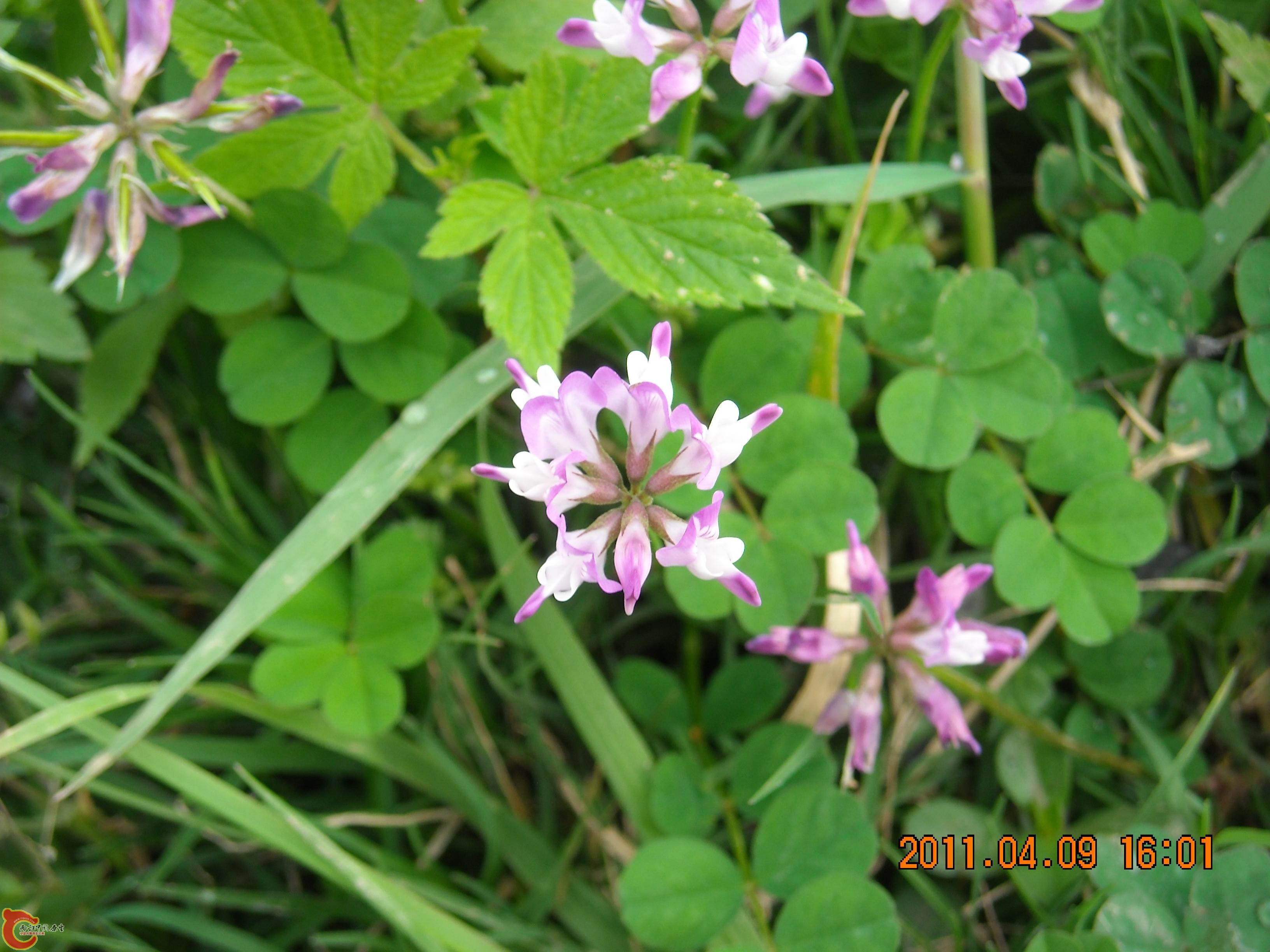DSCN4856.JPG