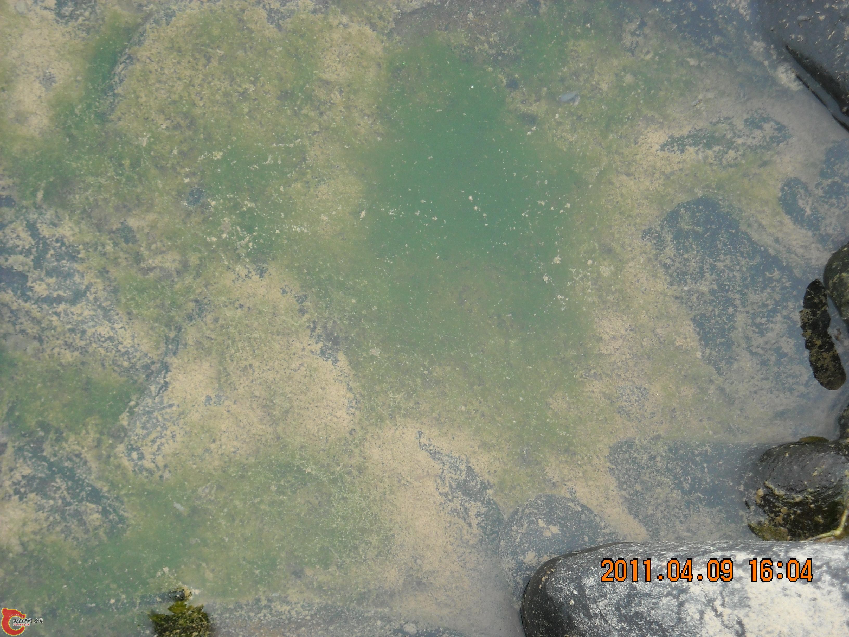 DSCN4859.JPG