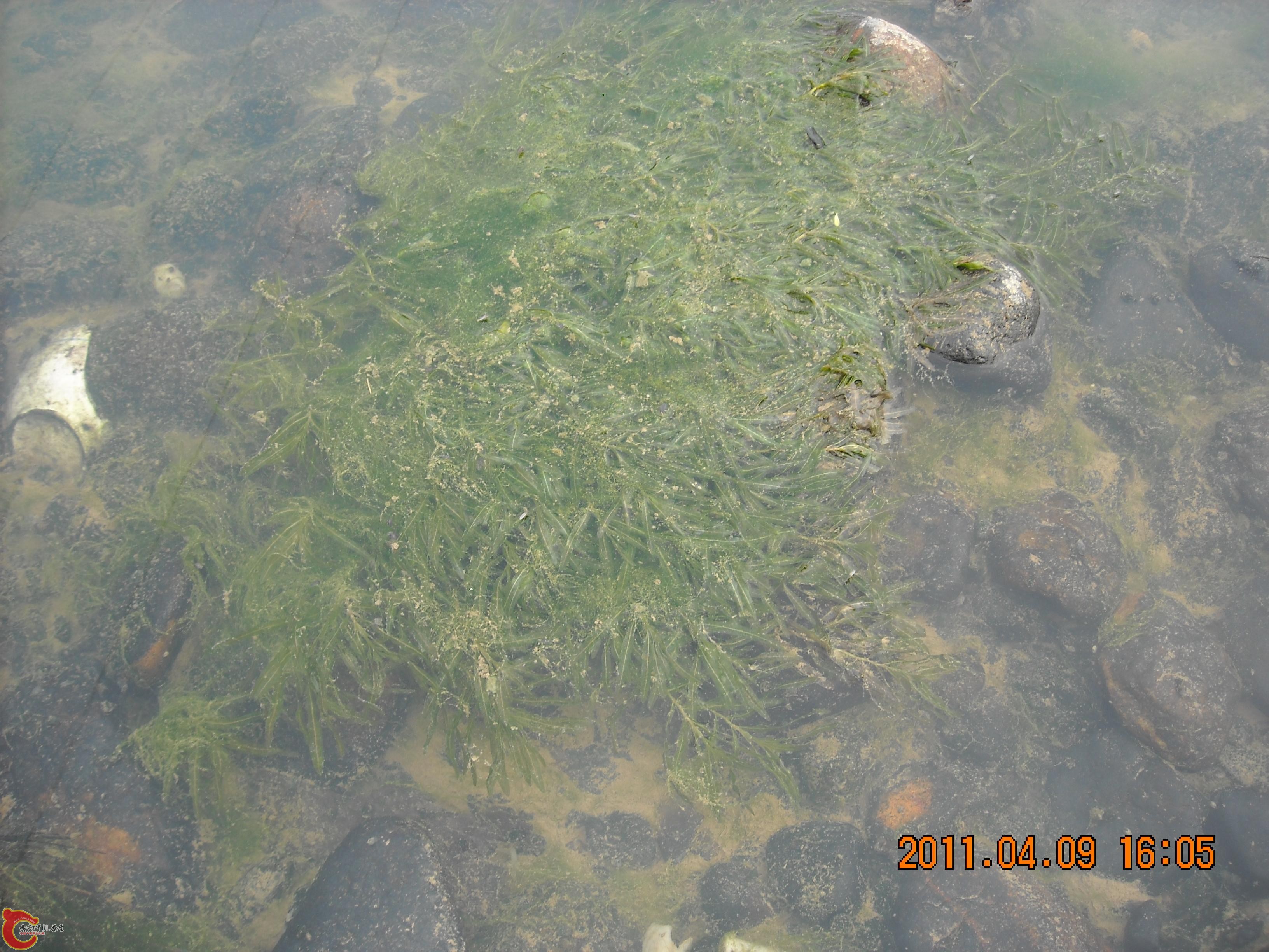 DSCN4860.JPG