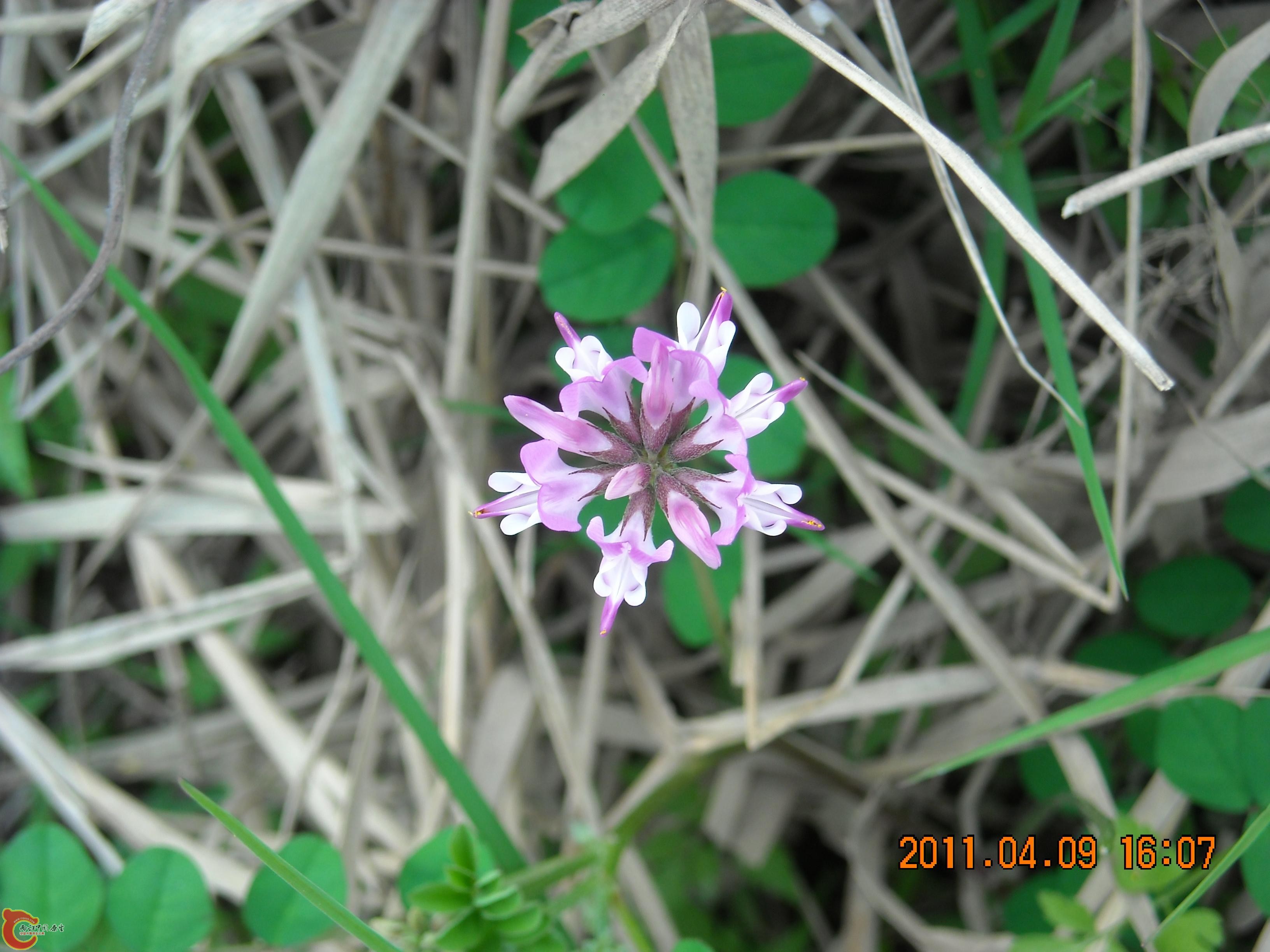 DSCN4863.JPG