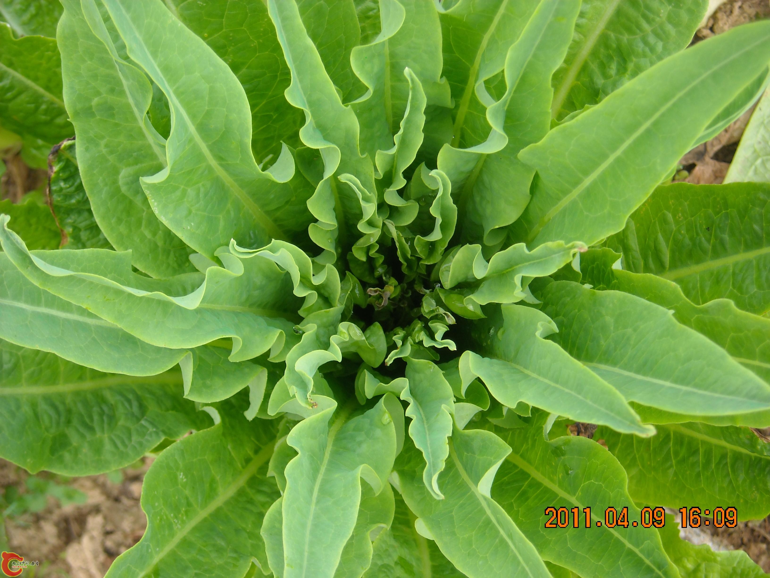 DSCN4869.JPG