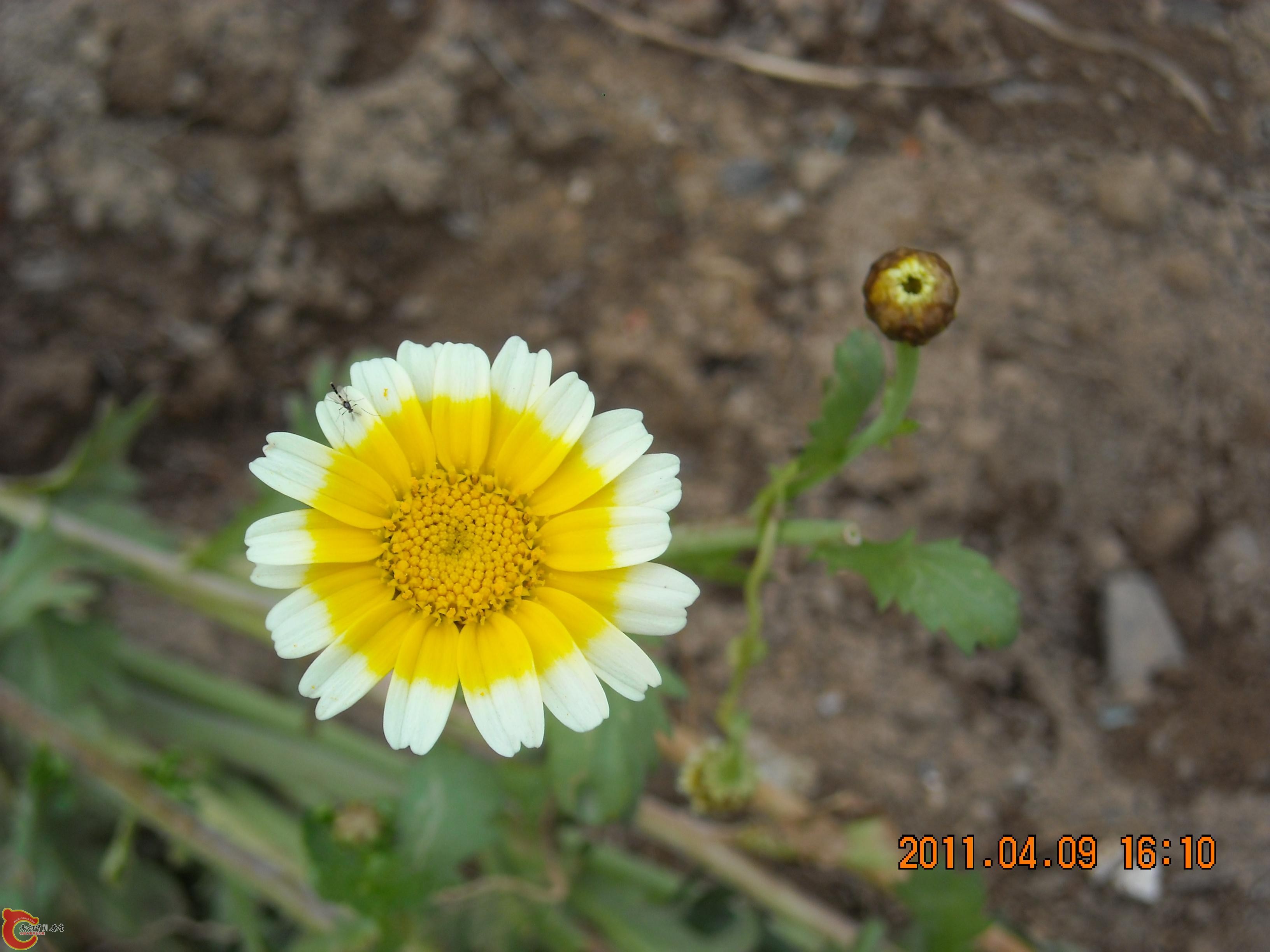 DSCN4870.JPG
