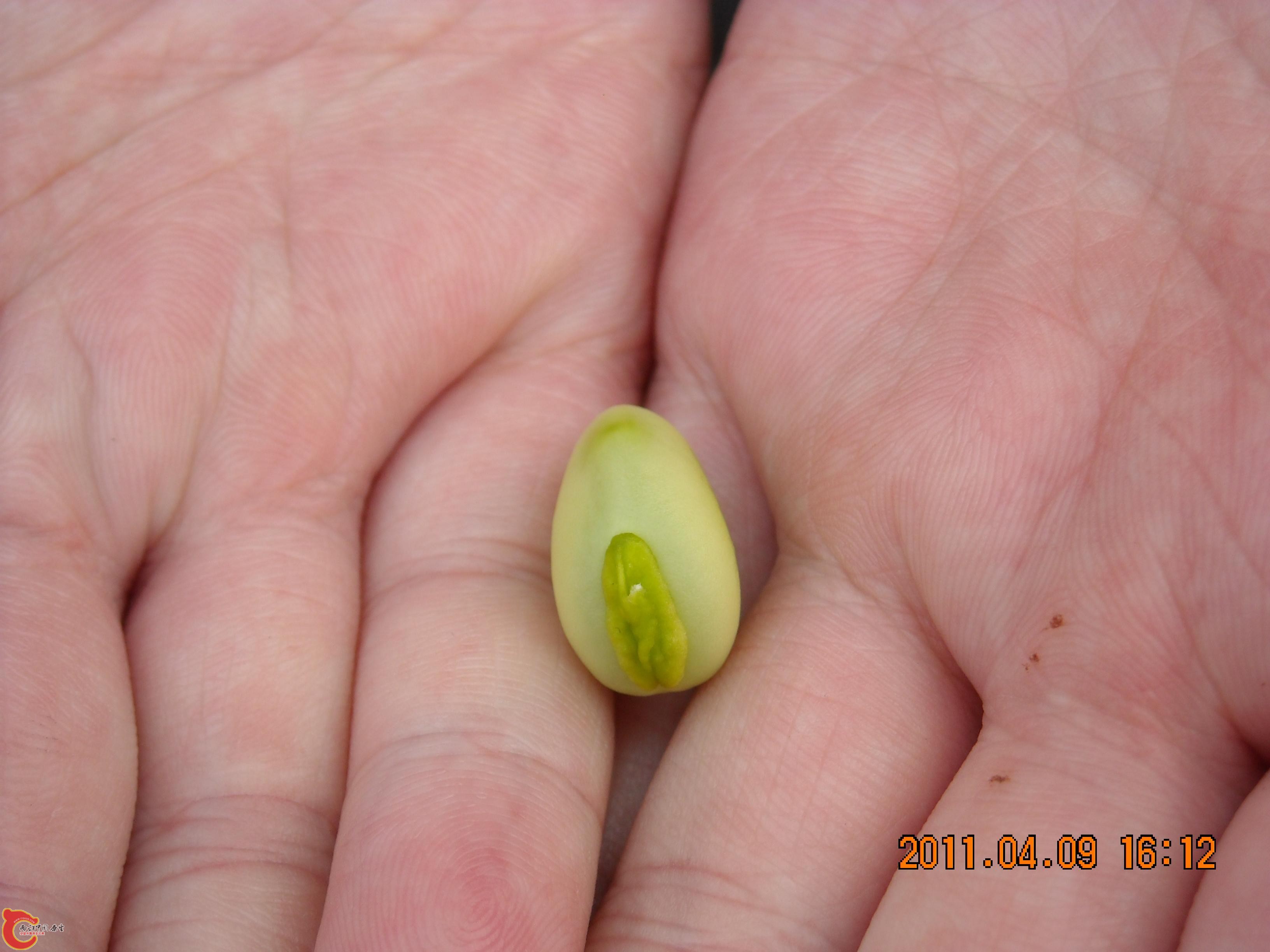 DSCN4875.JPG