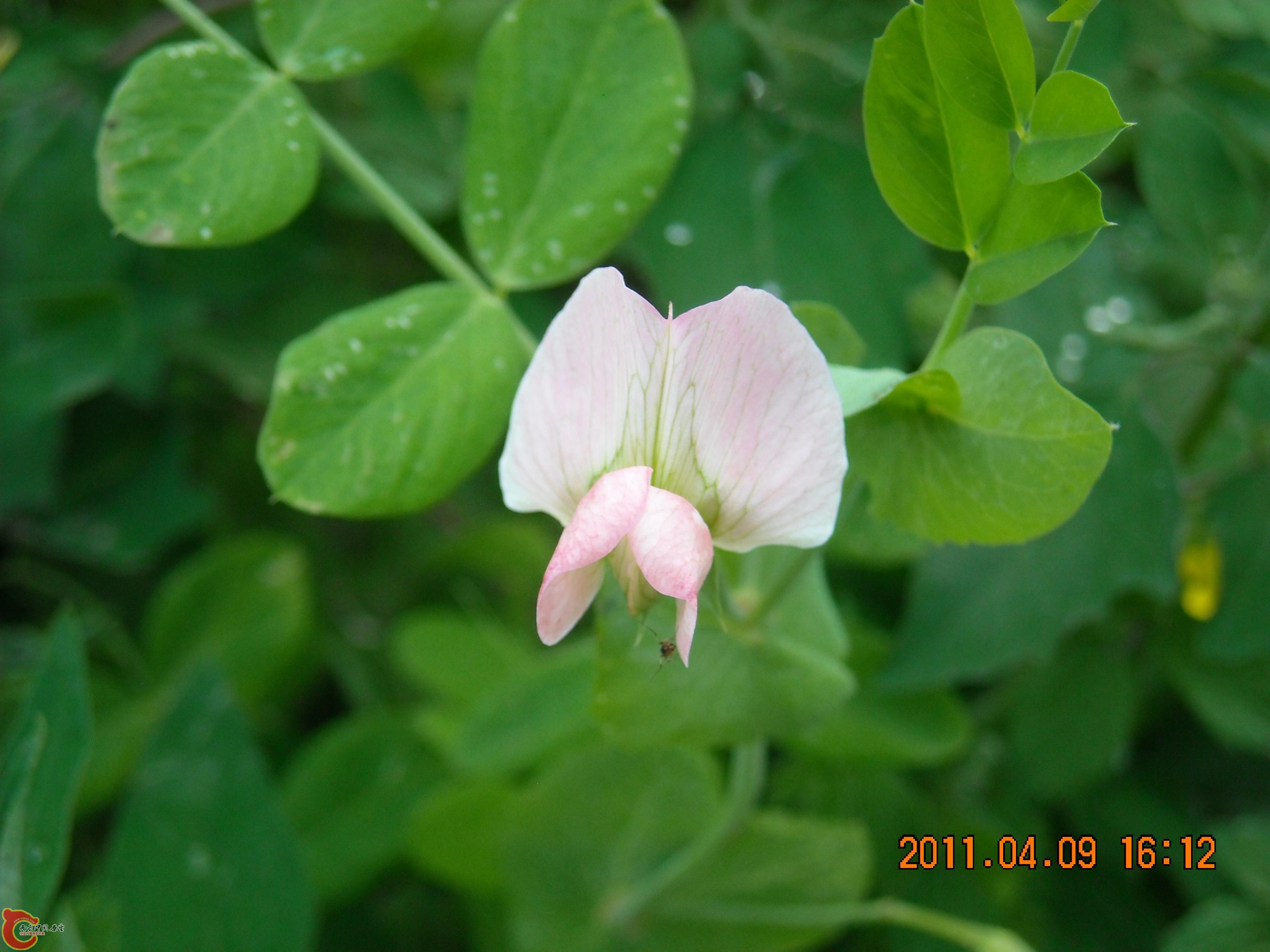 DSCN4876.JPG