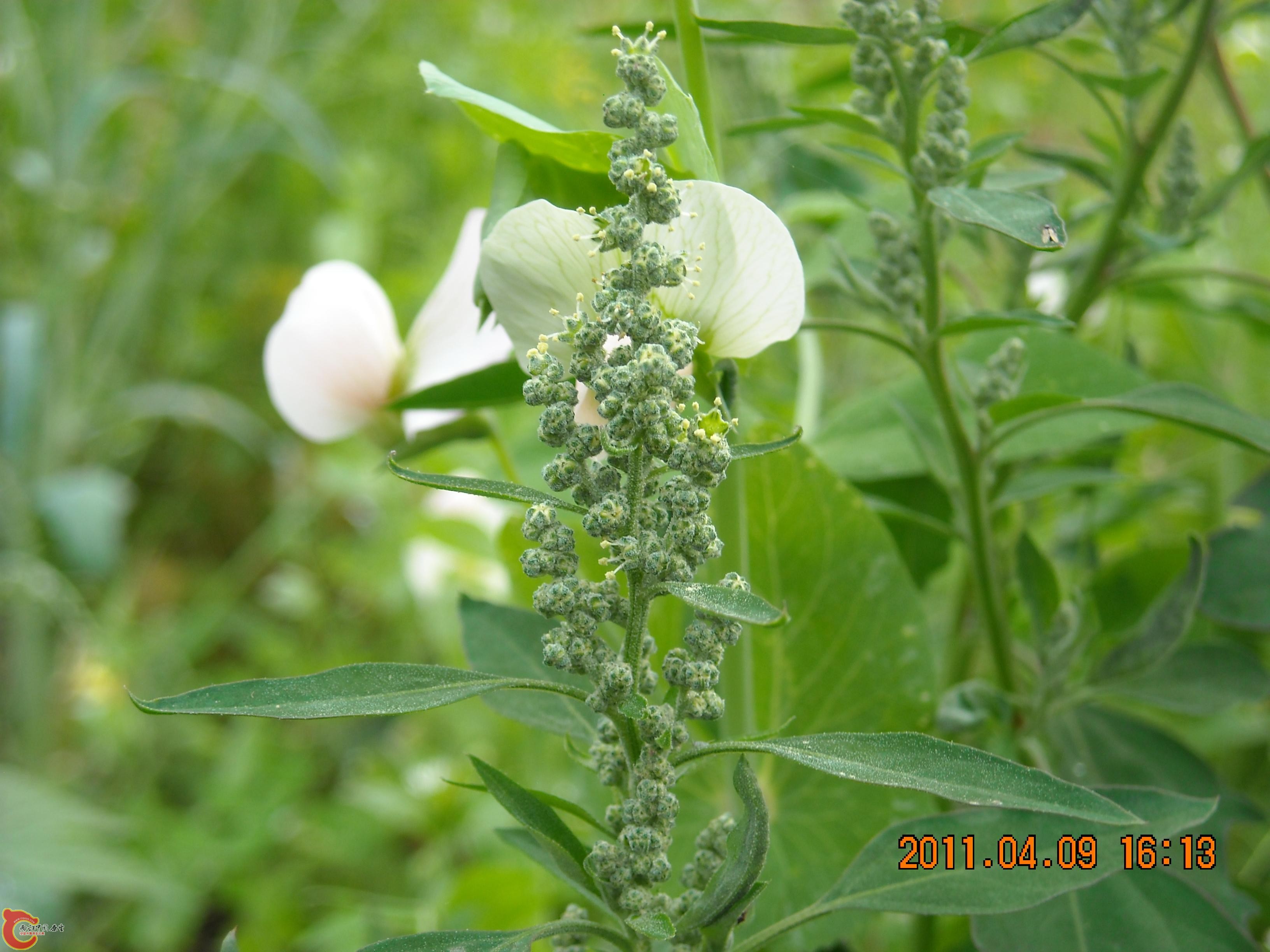 DSCN4877.JPG