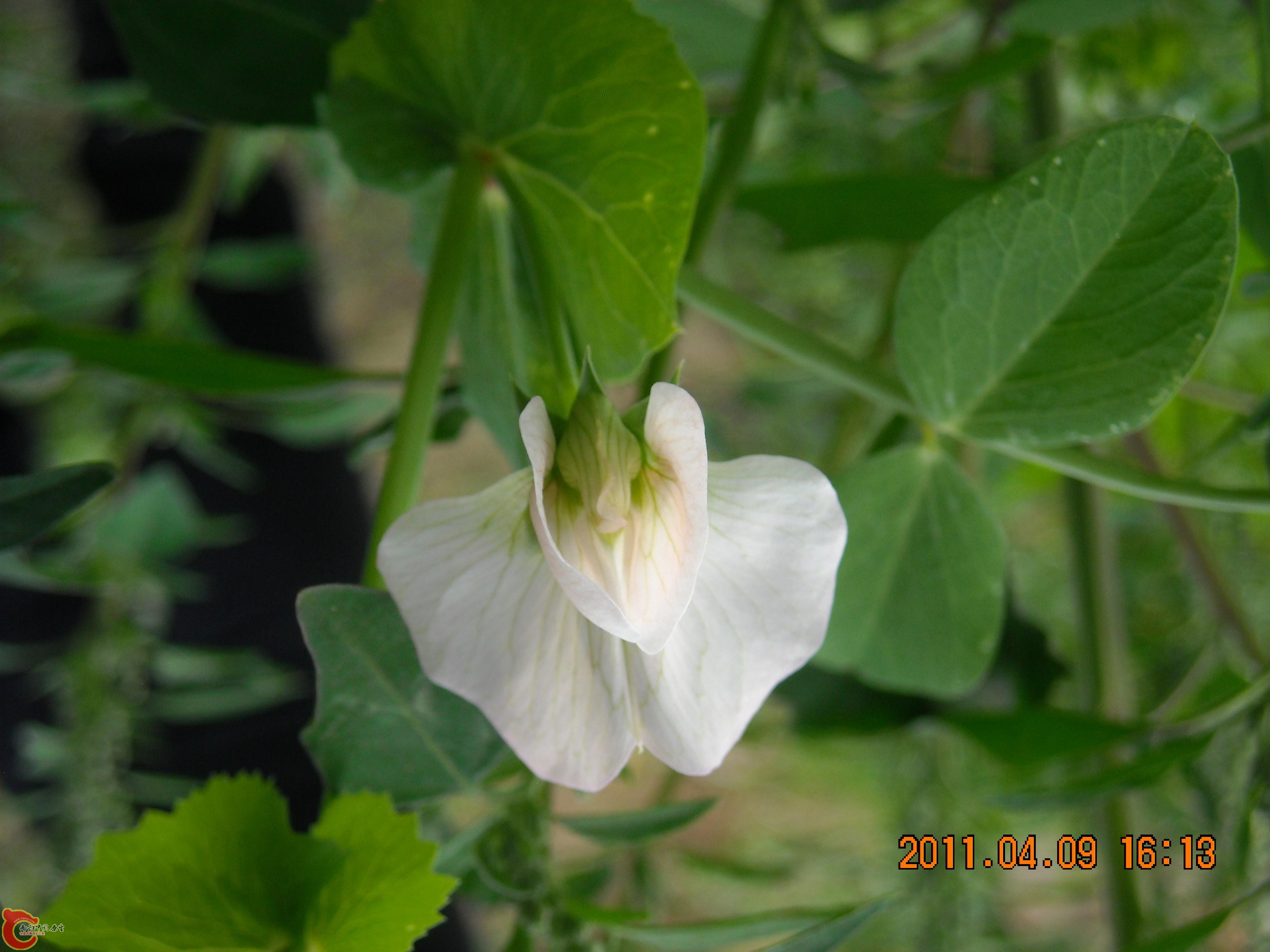 DSCN4878.JPG