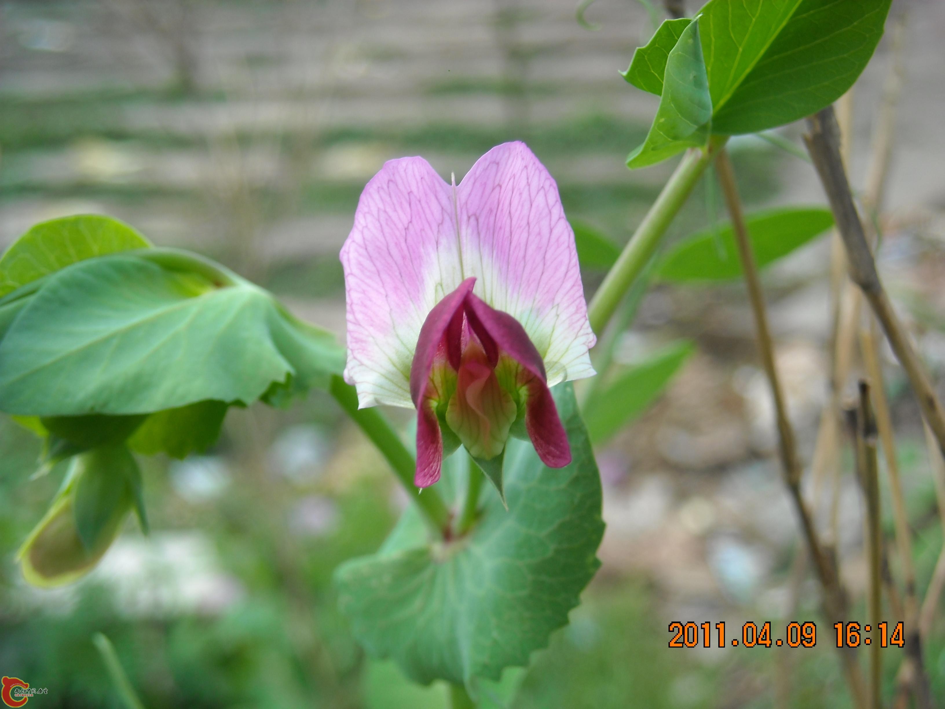 DSCN4879.JPG