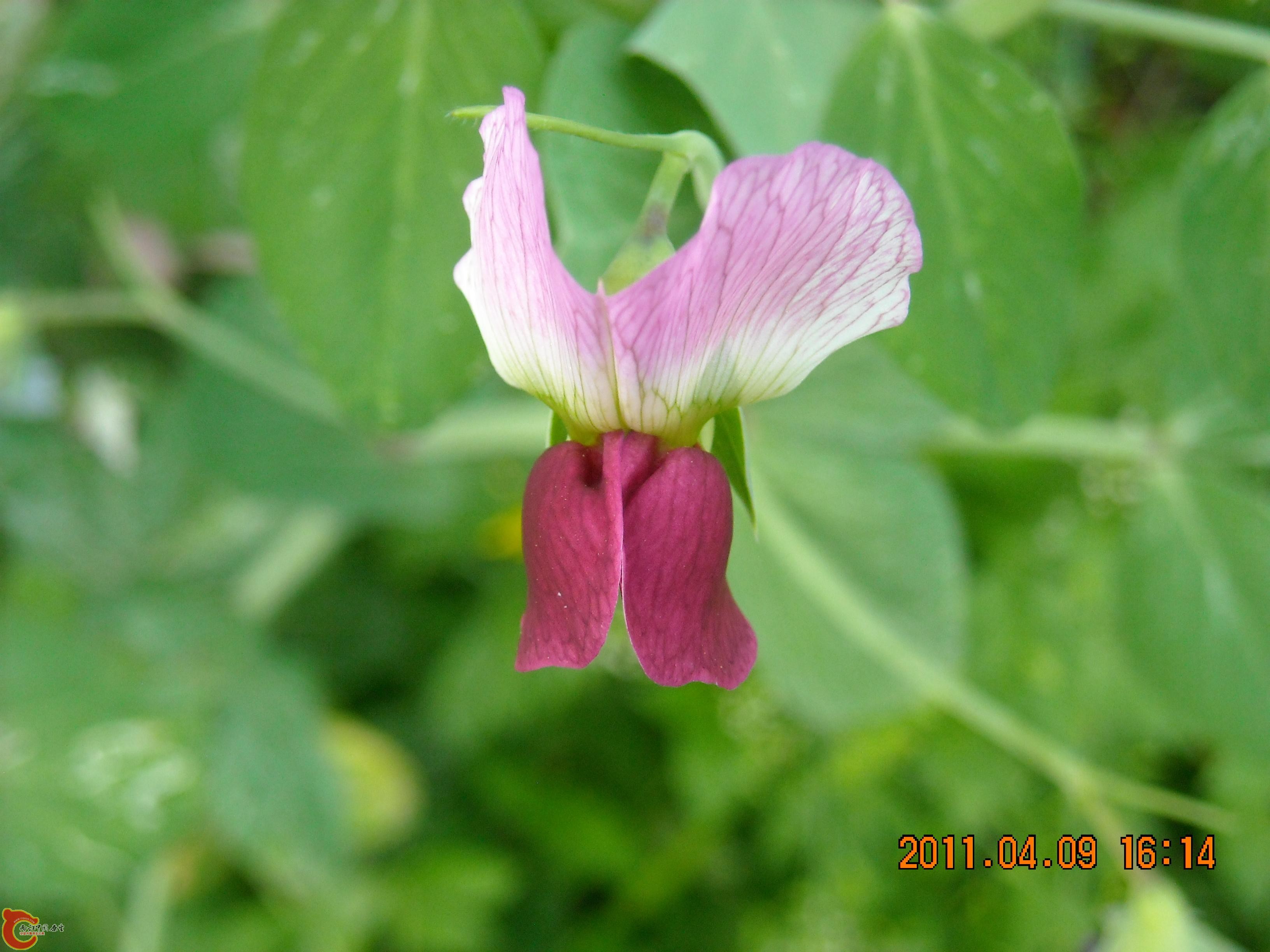 DSCN4880.JPG