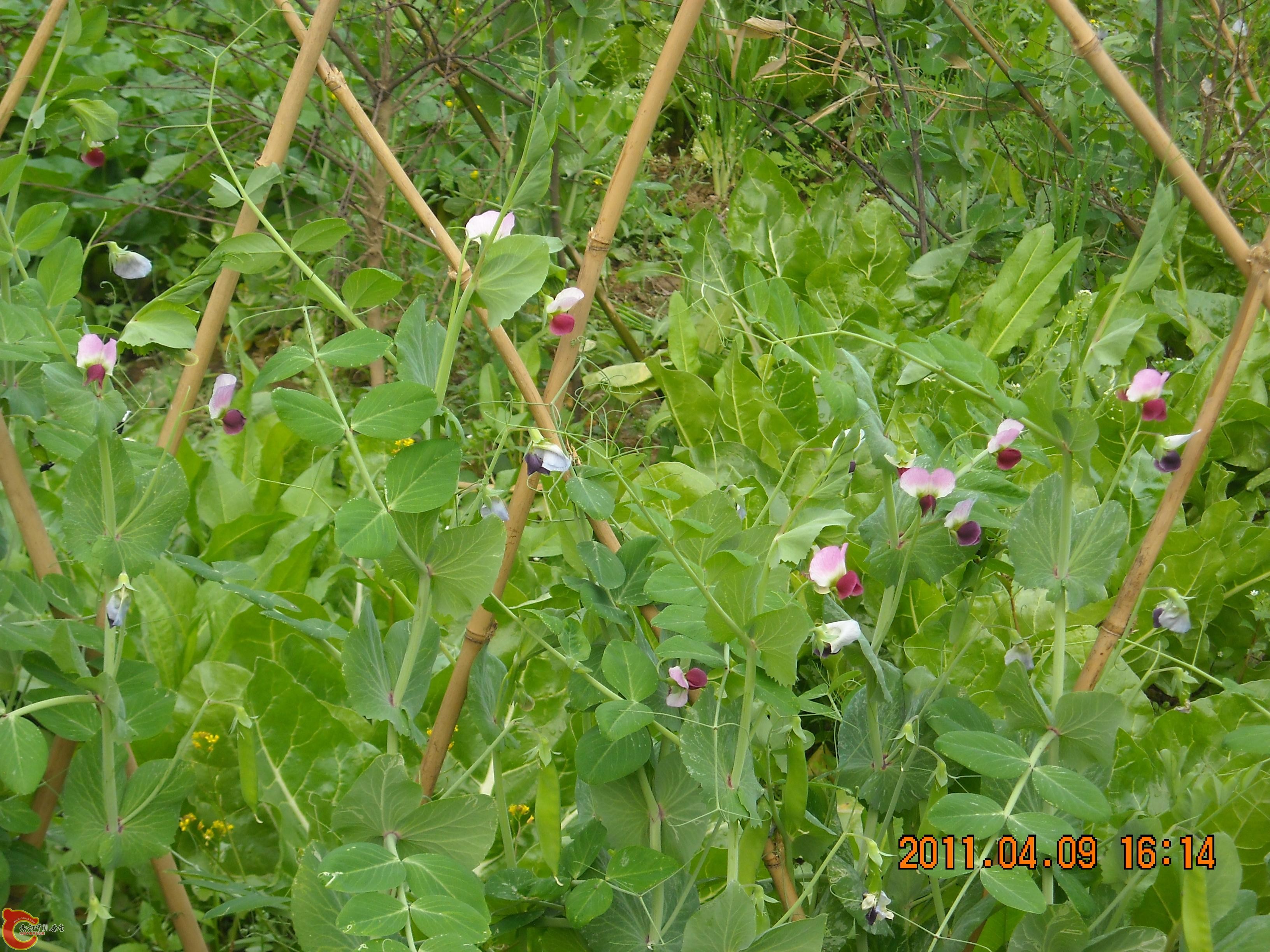 DSCN4881.JPG