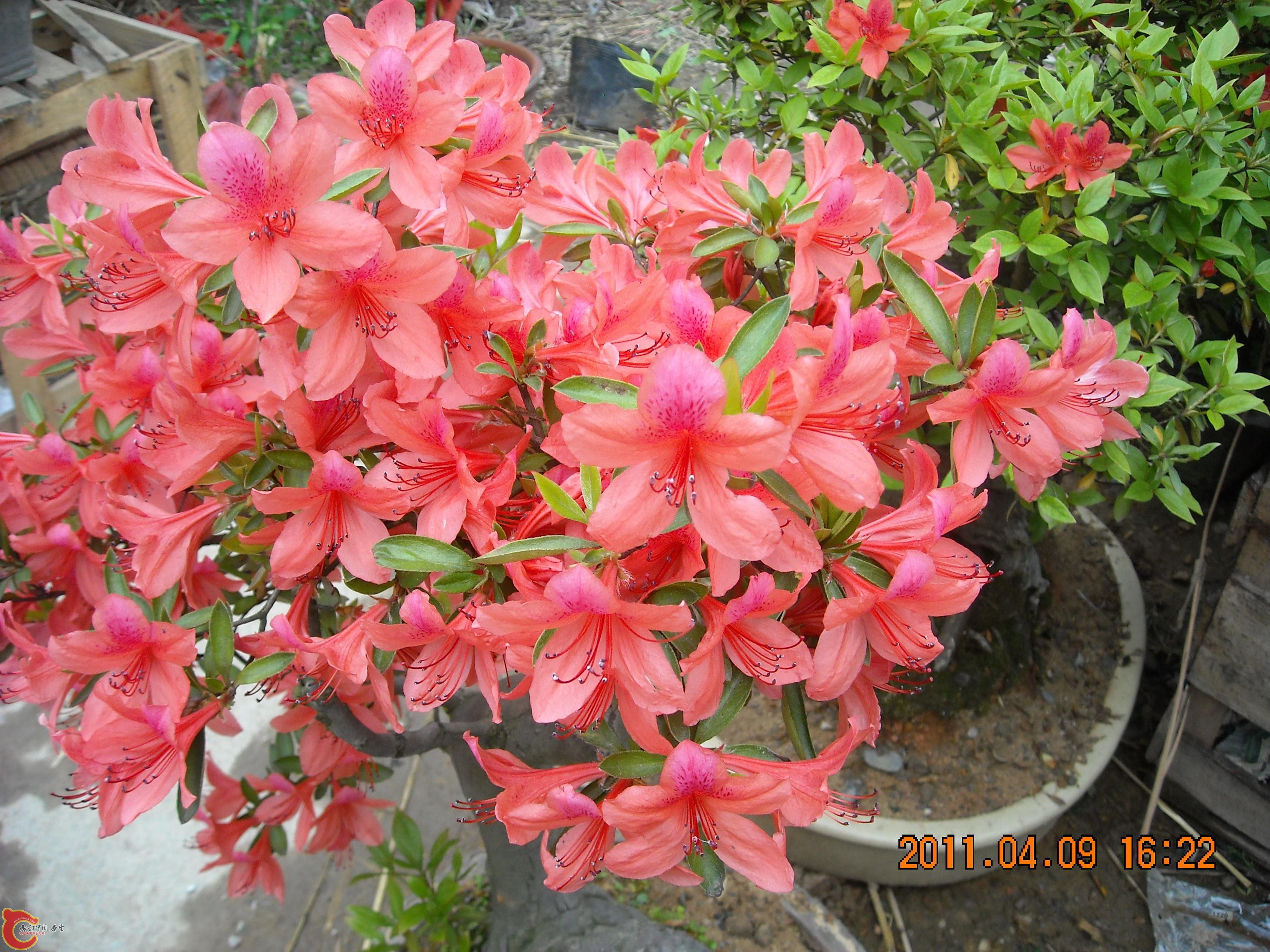 DSCN4887.JPG