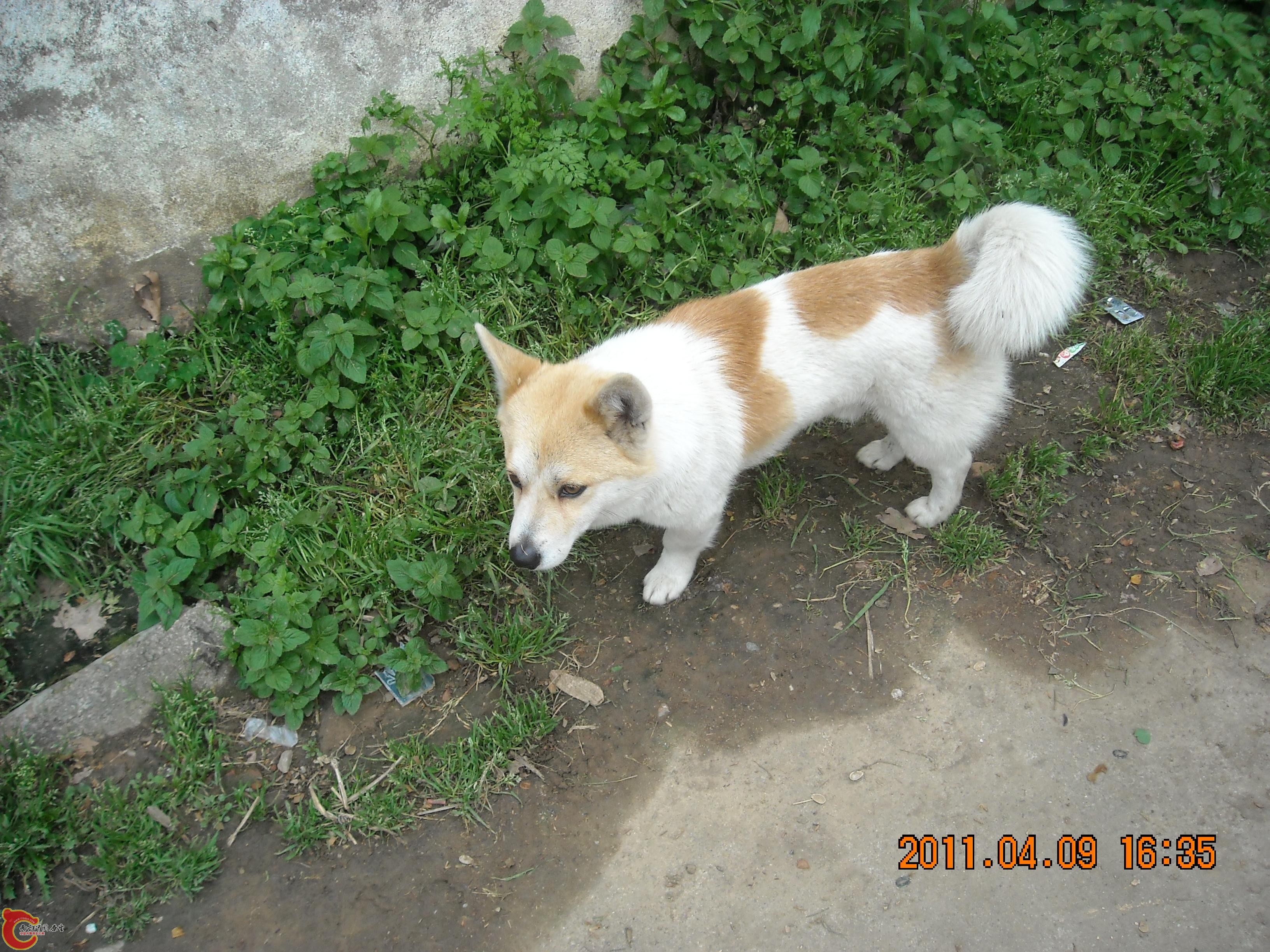 DSCN4902.JPG