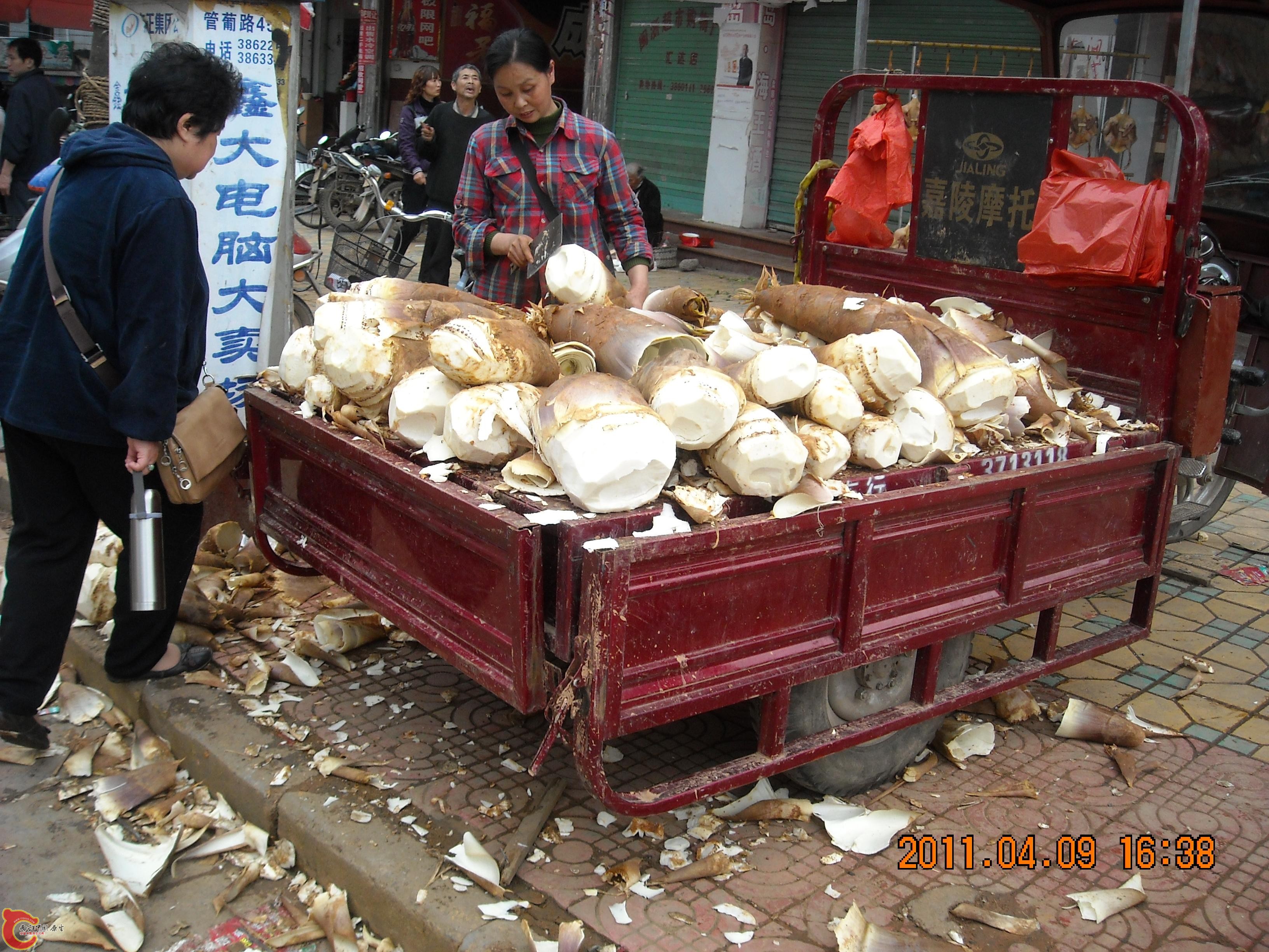 DSCN4905.JPG