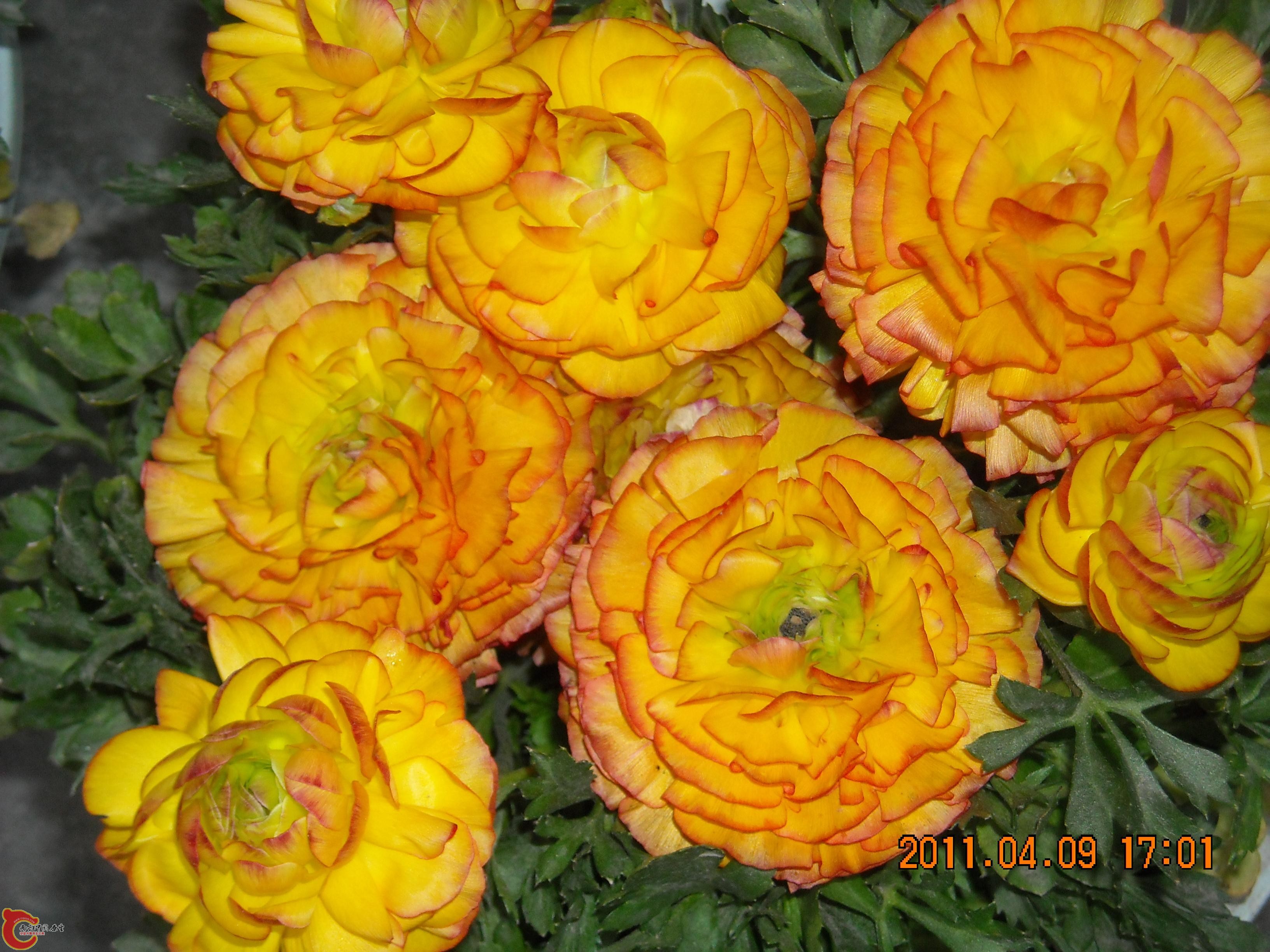 DSCN4932.JPG