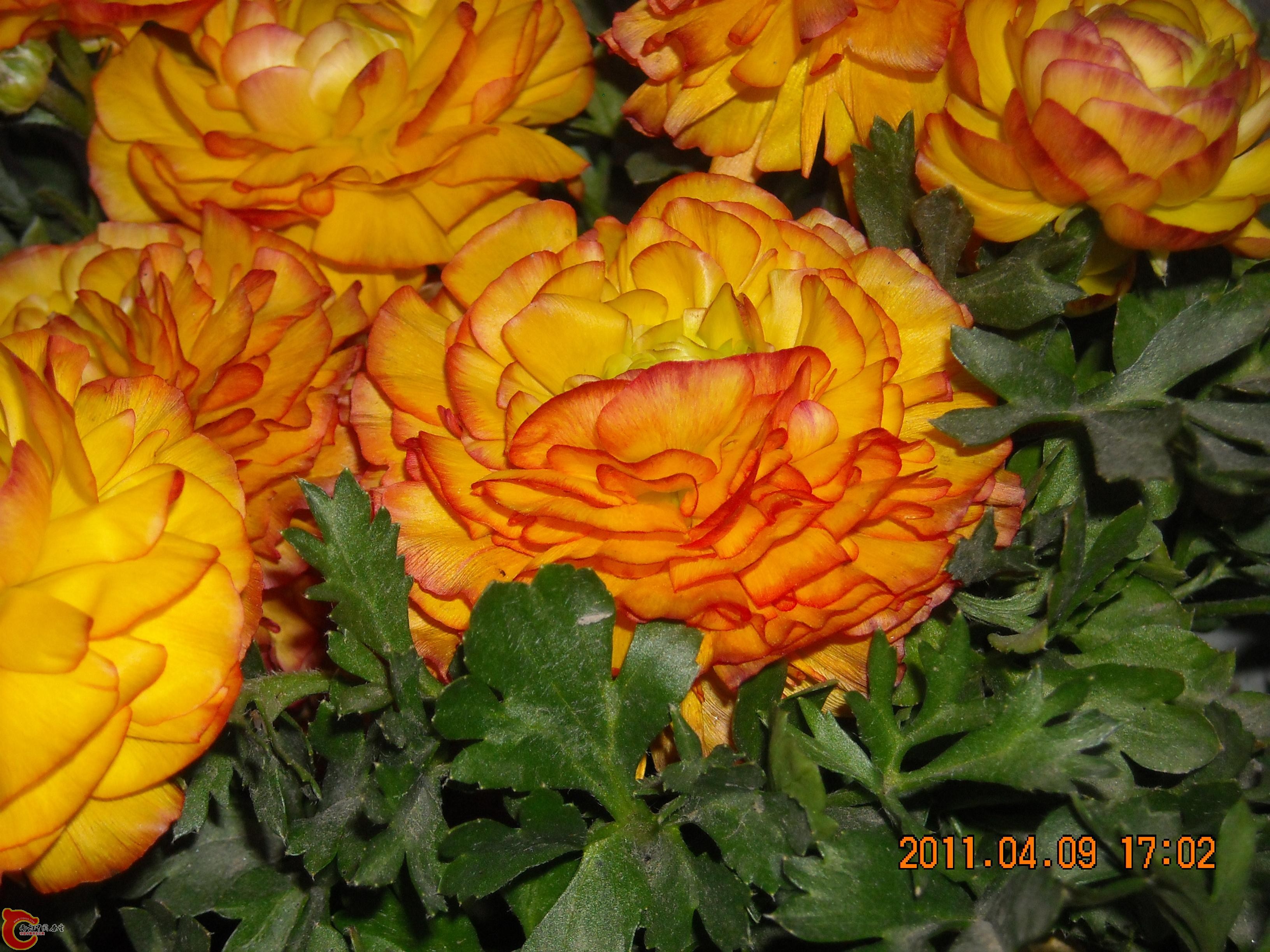 DSCN4933.JPG