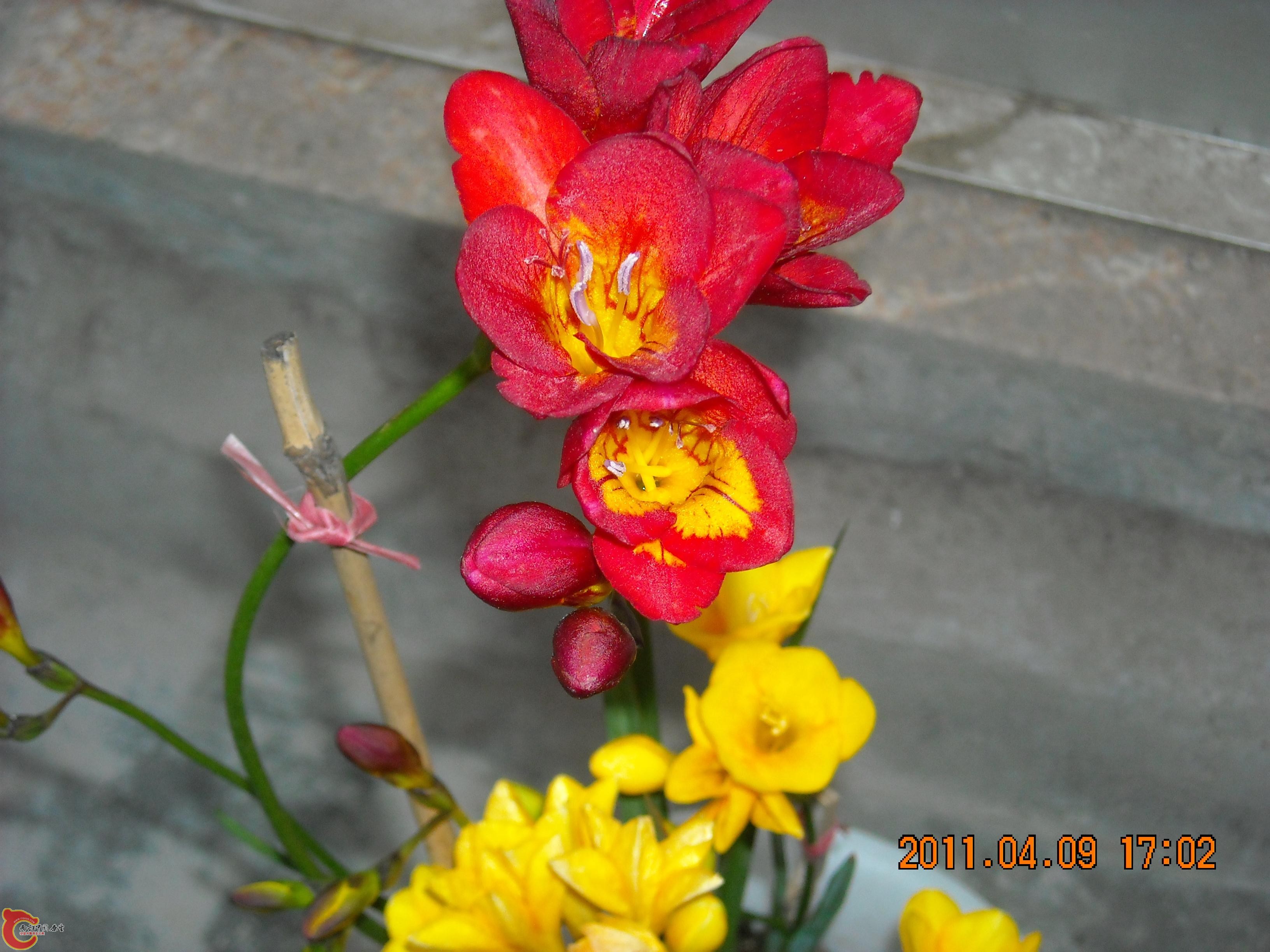DSCN4934.JPG
