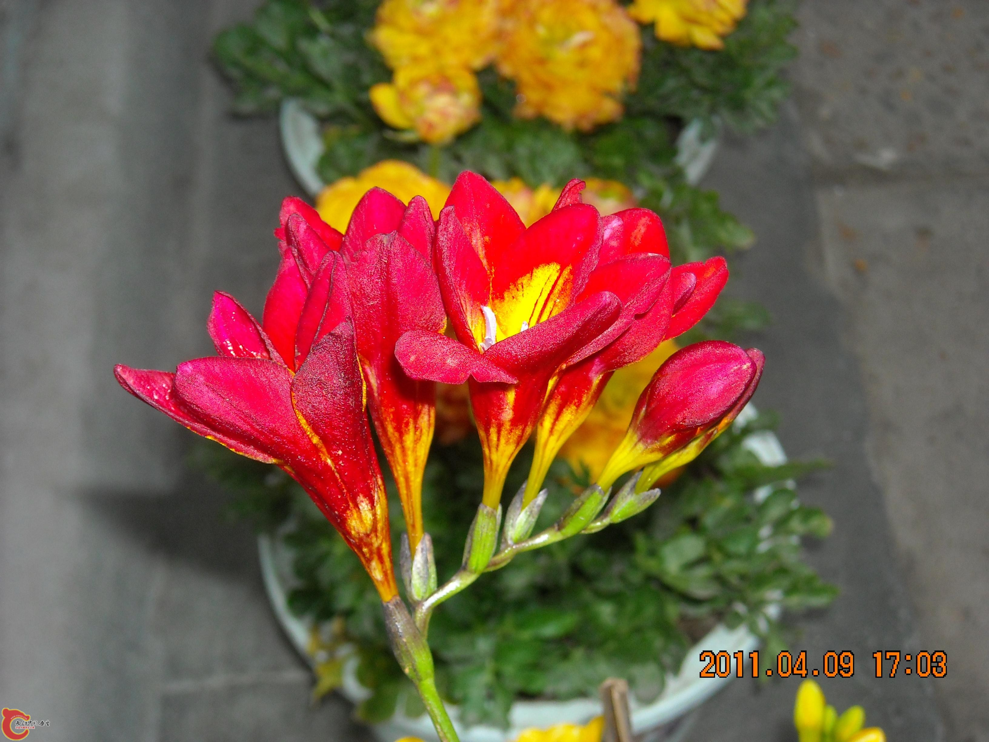 DSCN4935.JPG