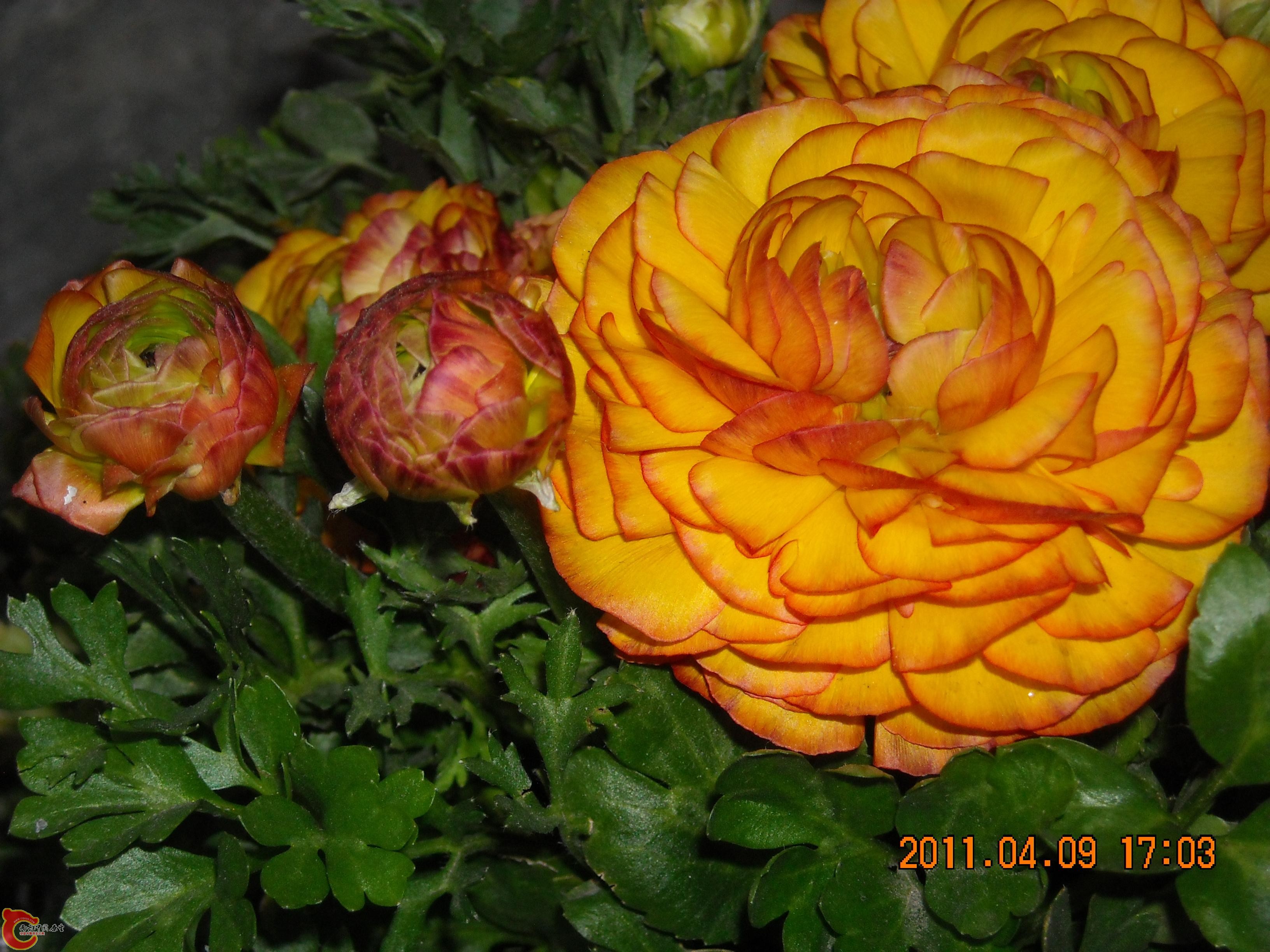 DSCN4937.JPG