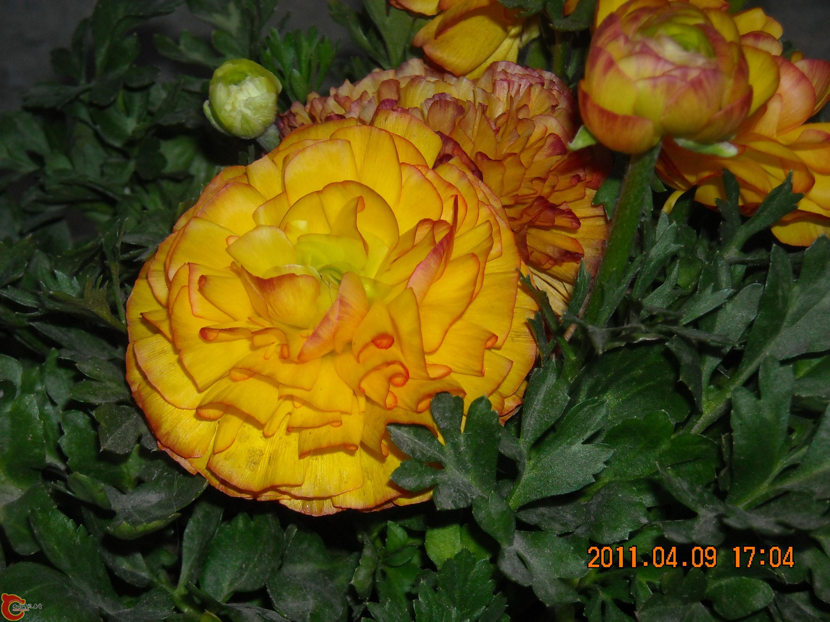 DSCN4938.JPG