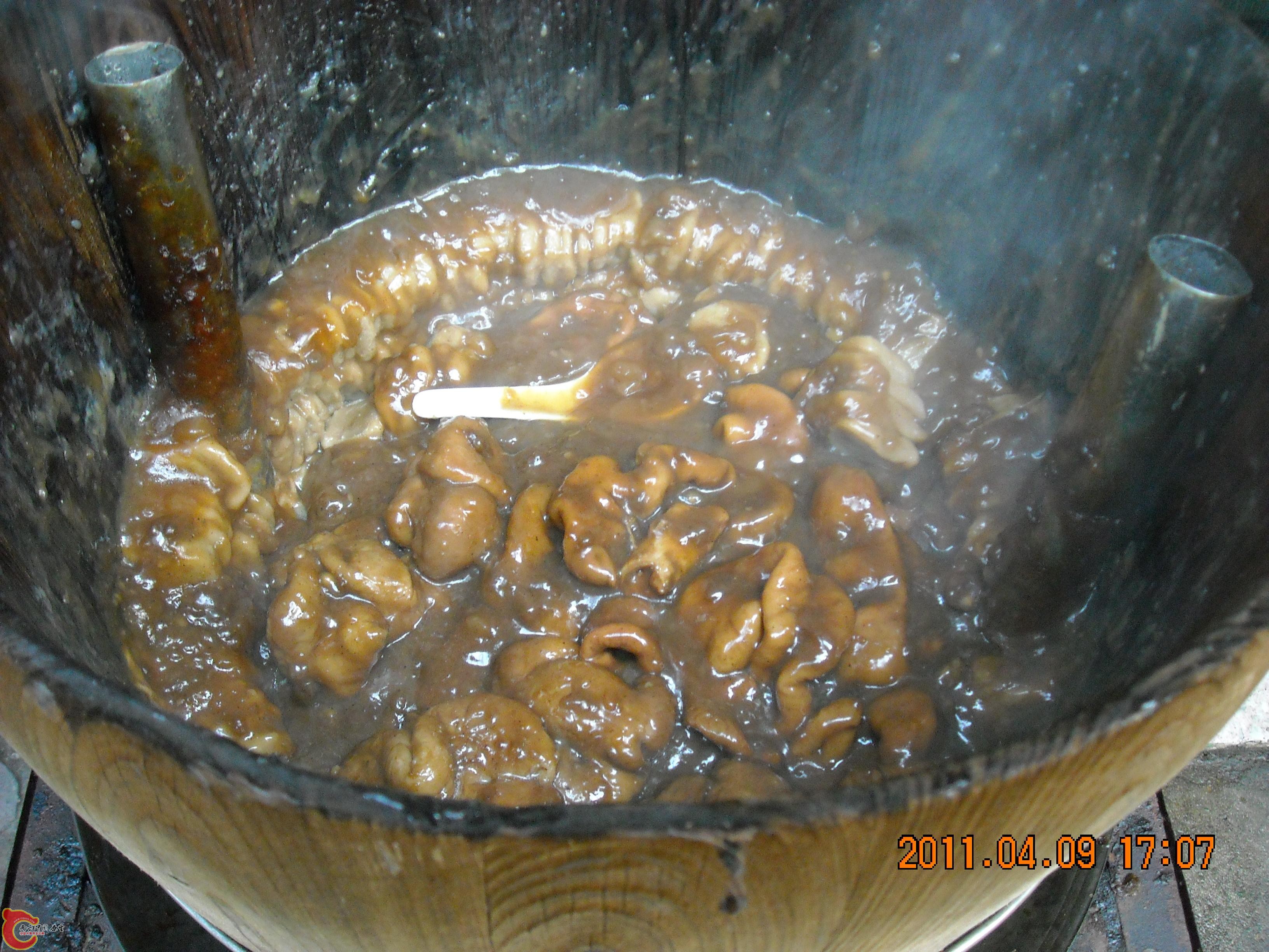 DSCN4940.JPG