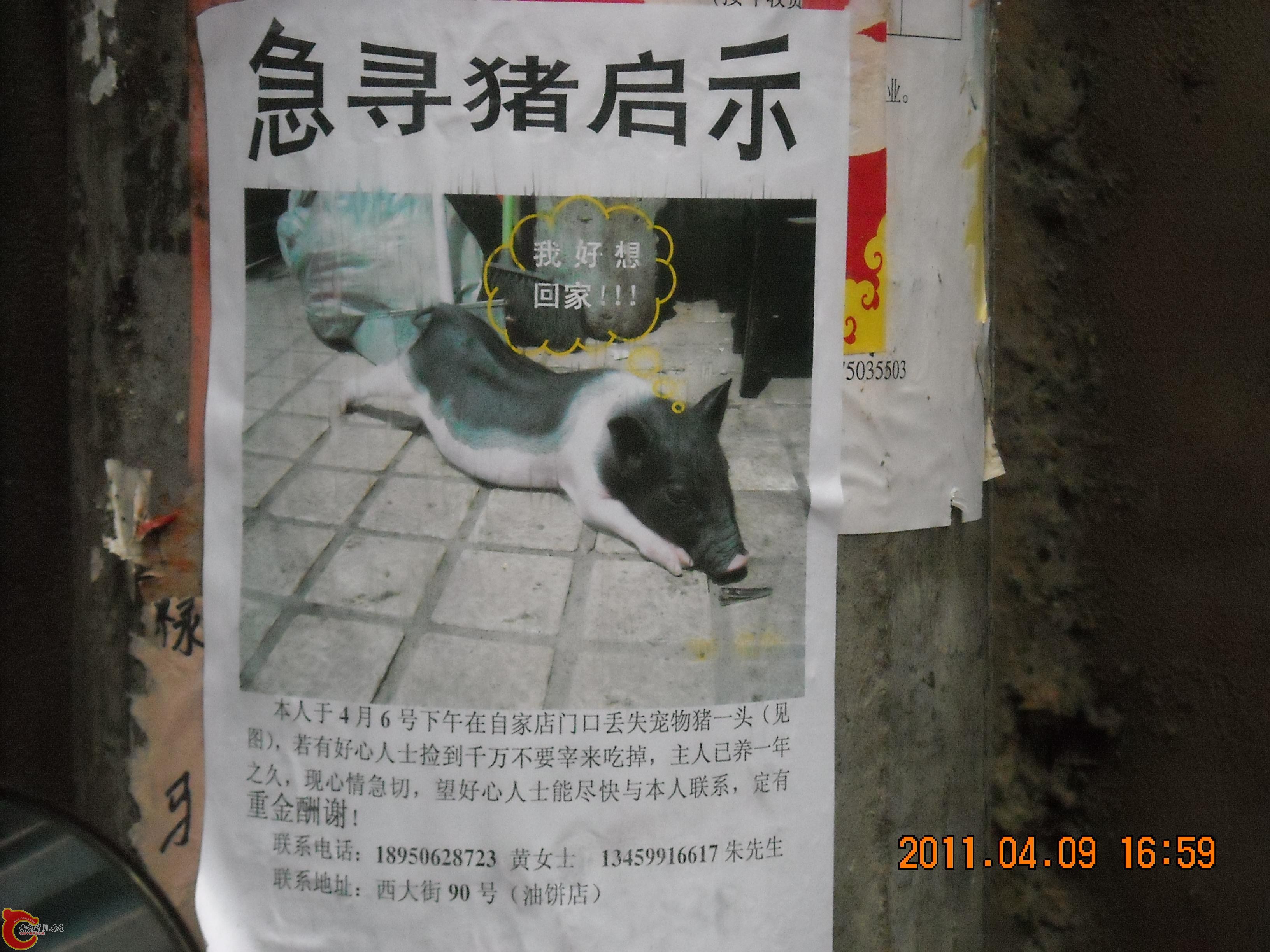 DSCN4927.JPG