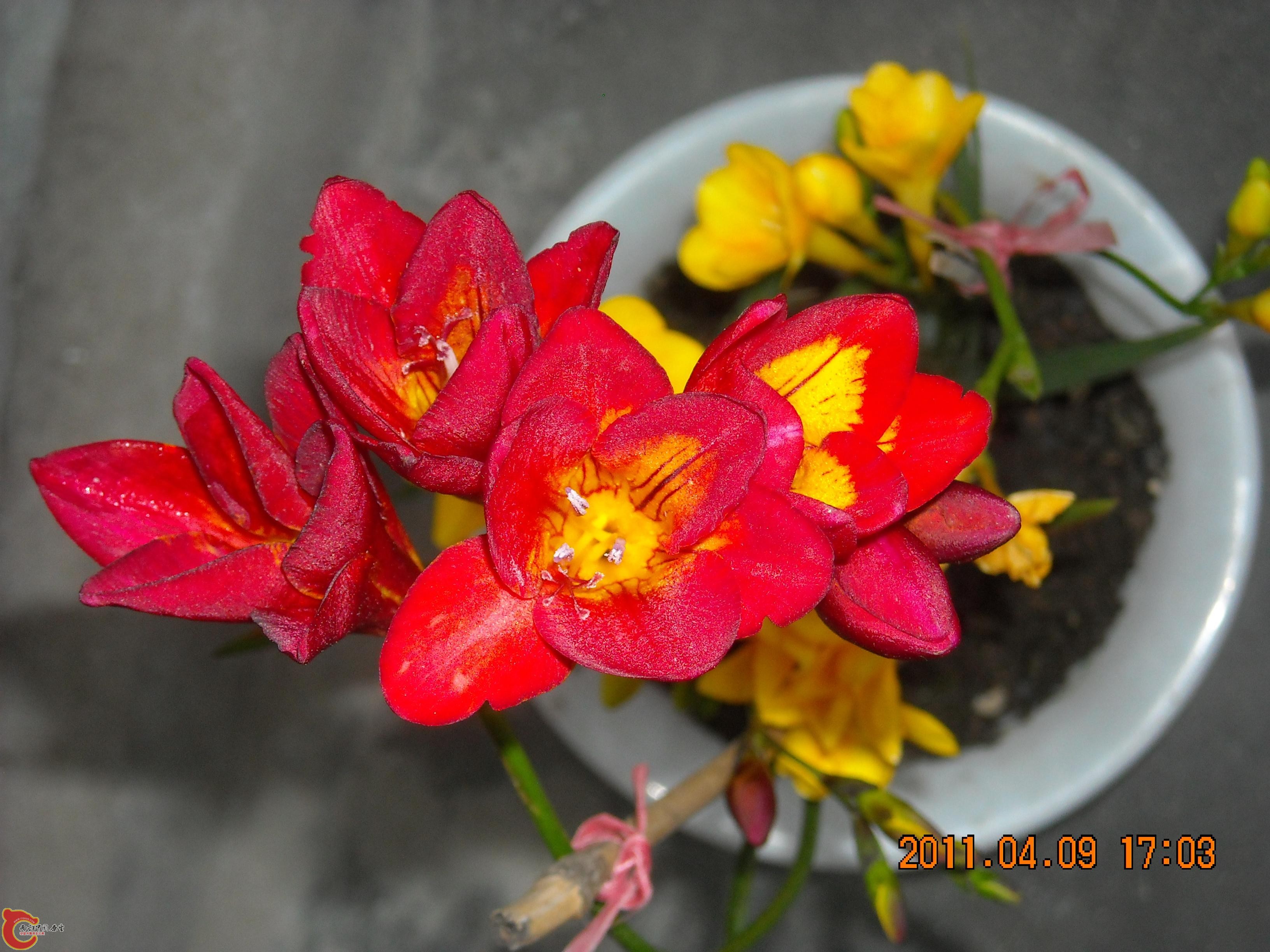 DSCN4936.JPG