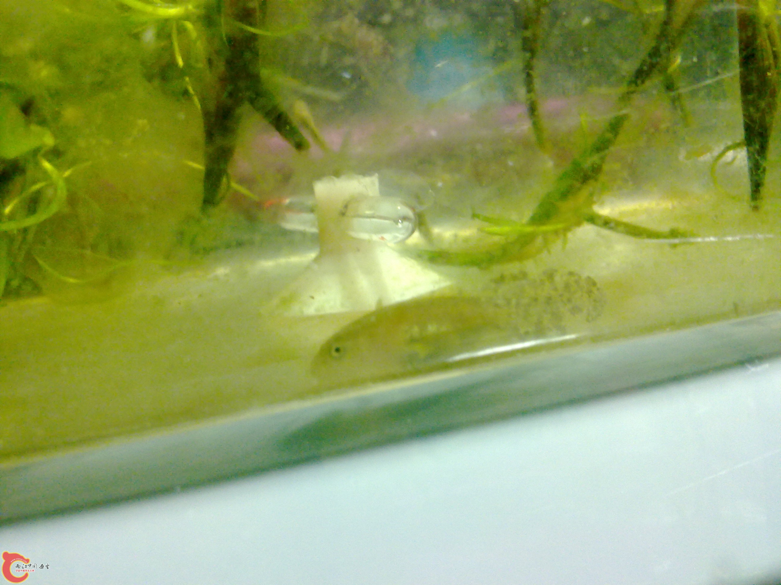 04102011001.jpg