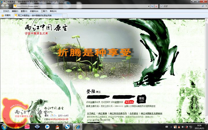 无标题.png