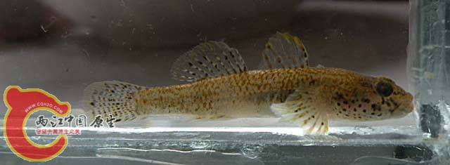 DSCN3350.JPG