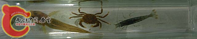 DSCN3366.JPG