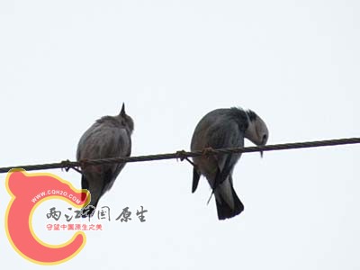 DSCN3333.JPG