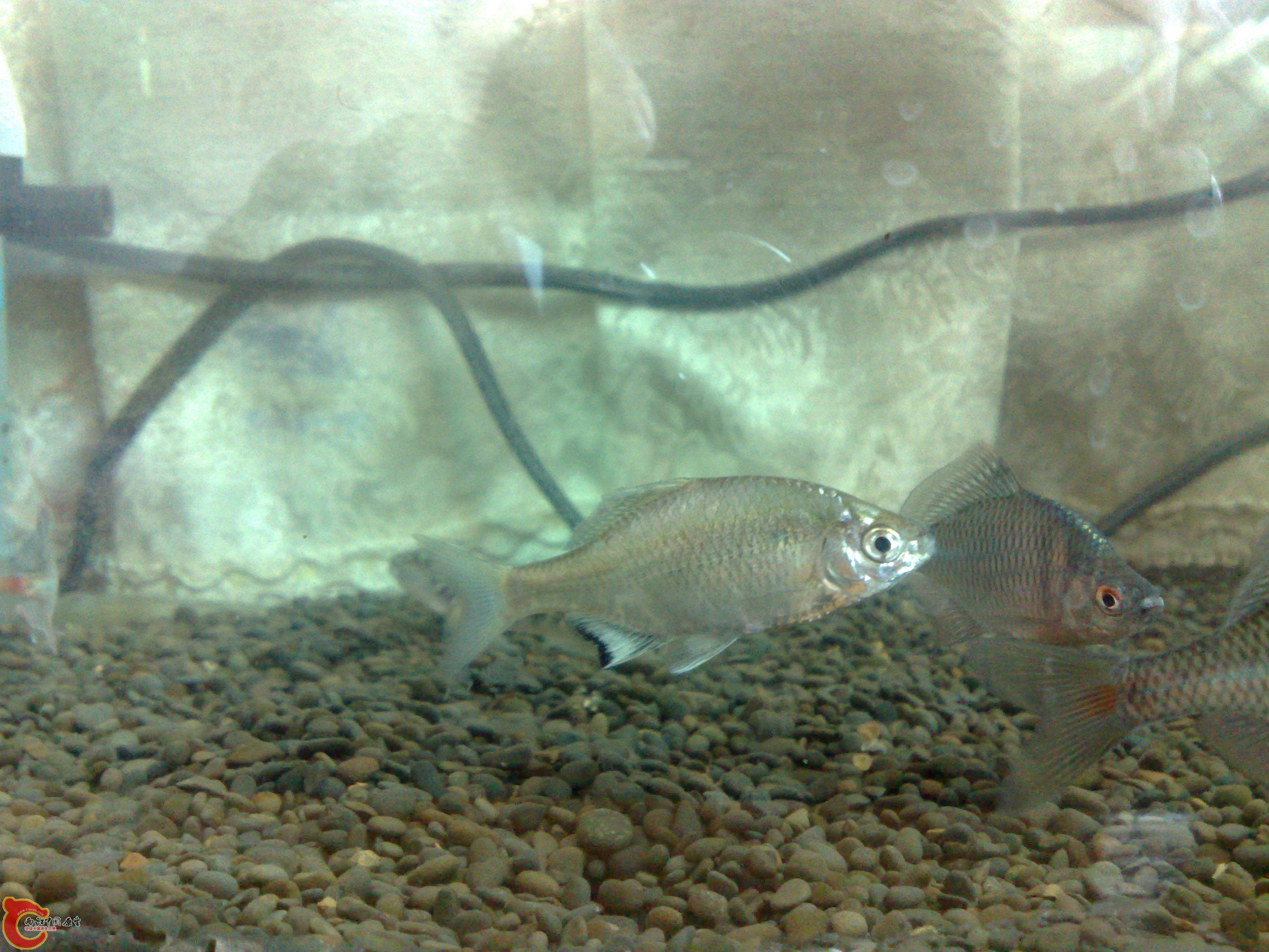 201104121616.jpg